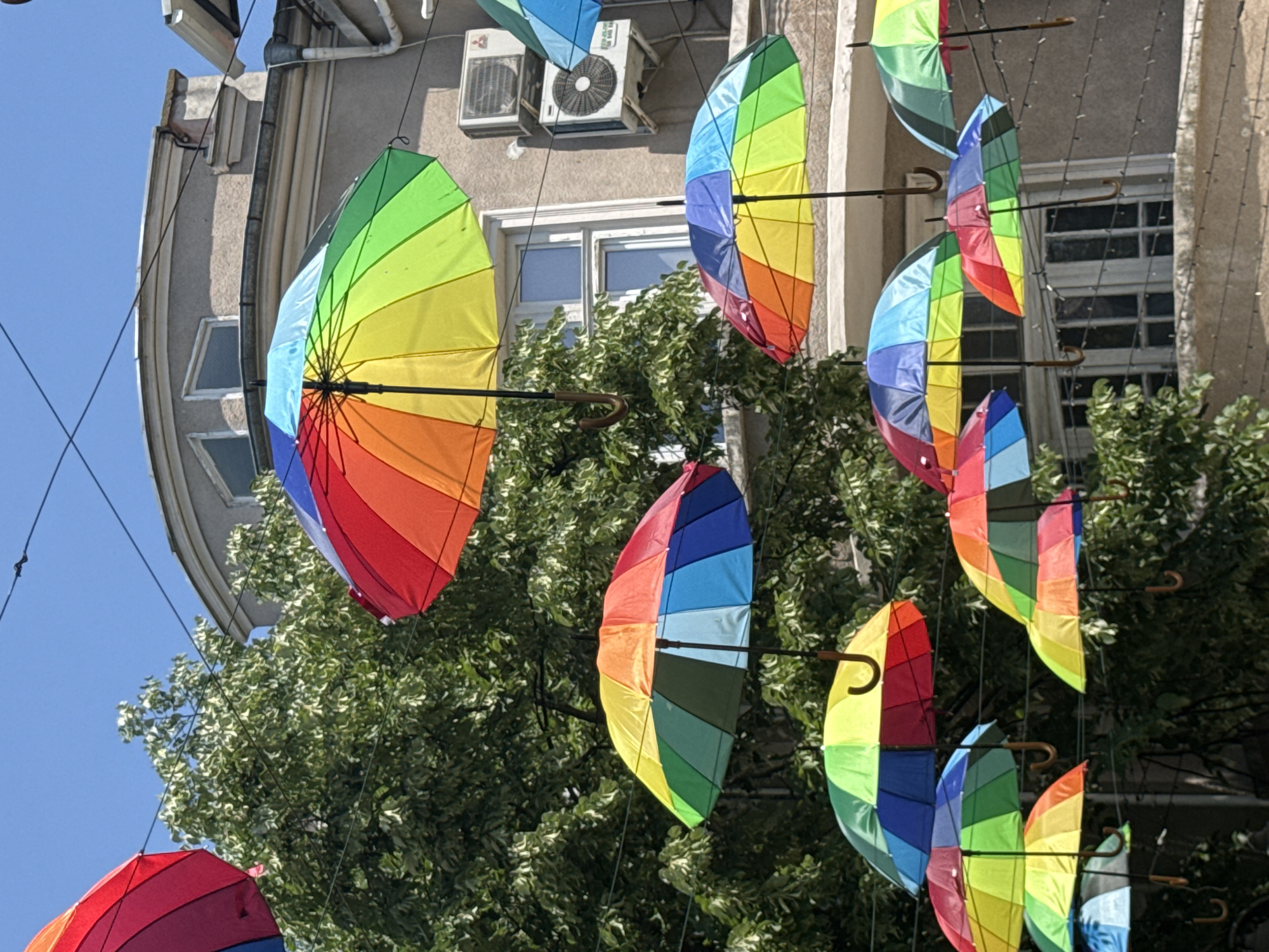 Morning scenes documented across Burgas: umbrellas, pets, memorabilia