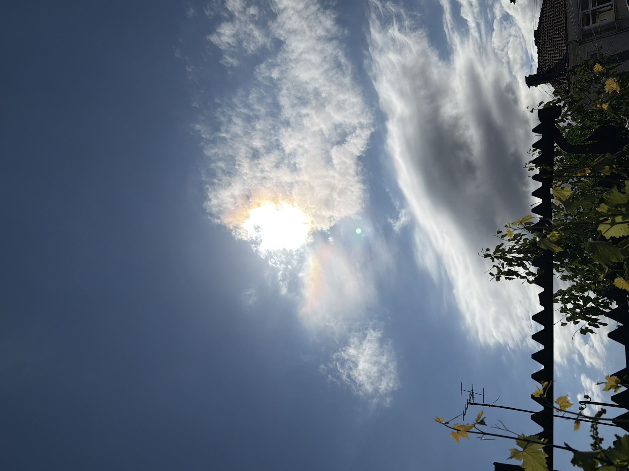 Morning nature observations documented across Karnobat, Bulgaria