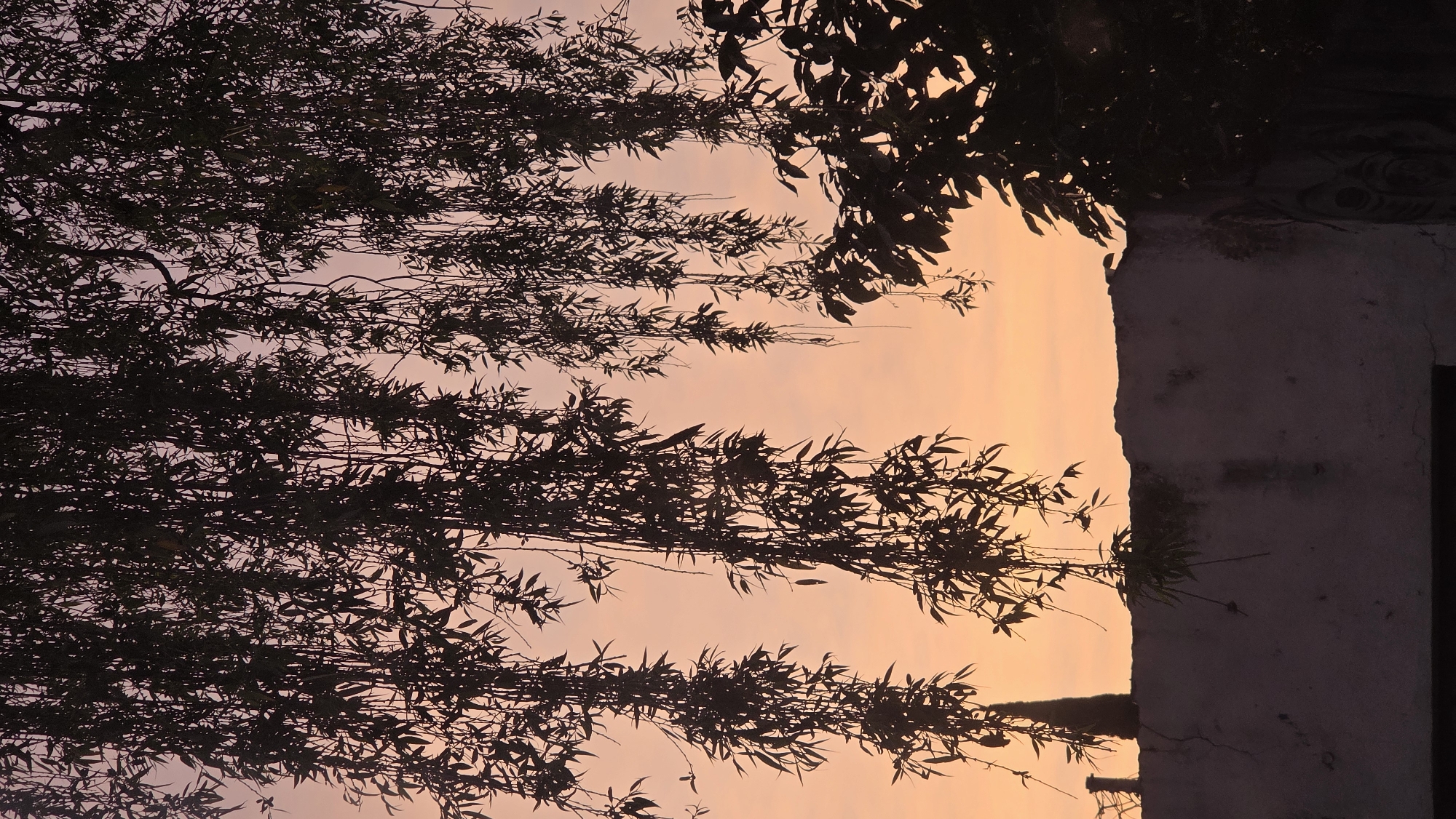 Dawn or dusk scene captured in San Bernardino Tlaxcalancingo