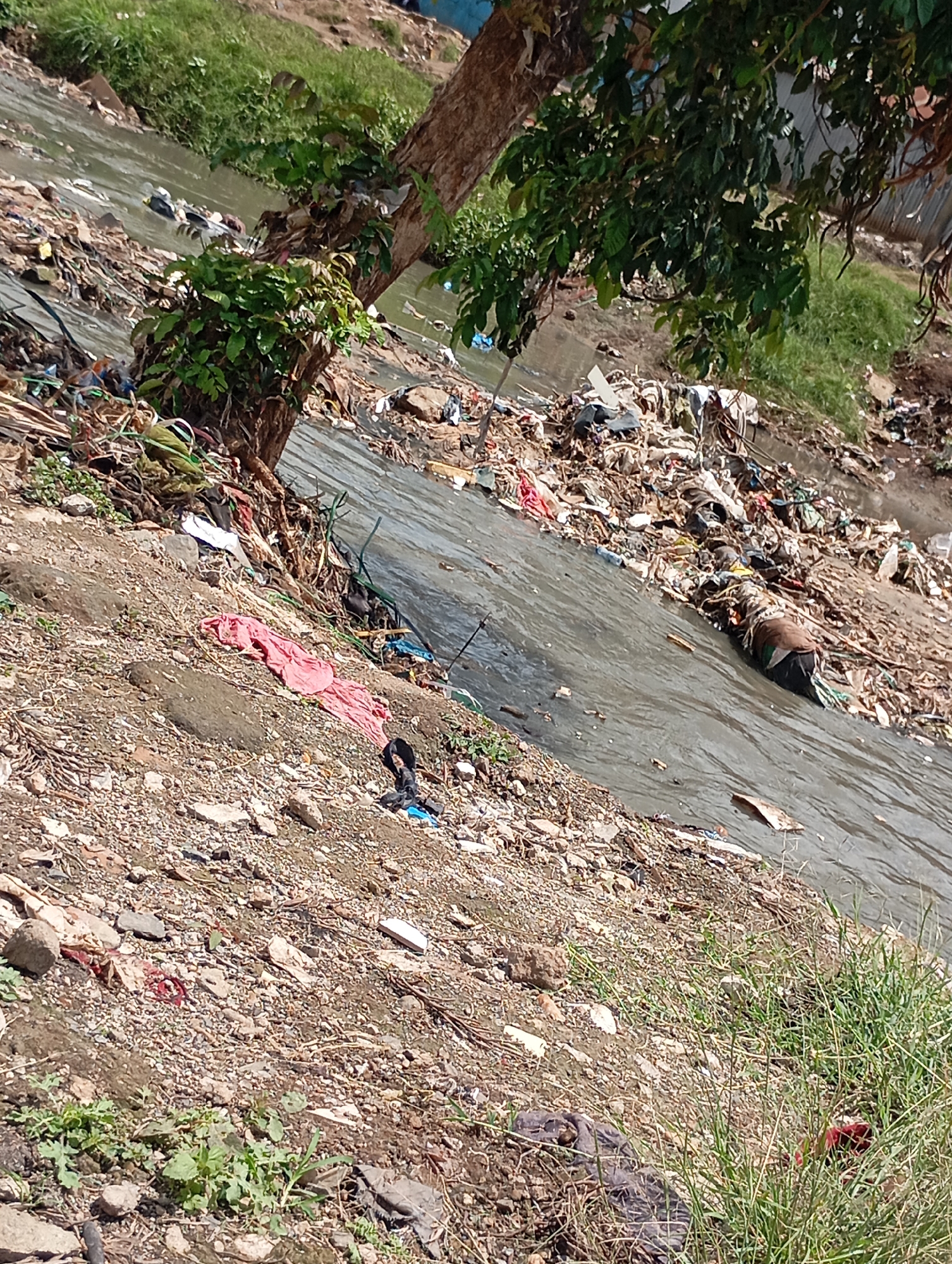 Severe water pollution documented in Nairobi waterway