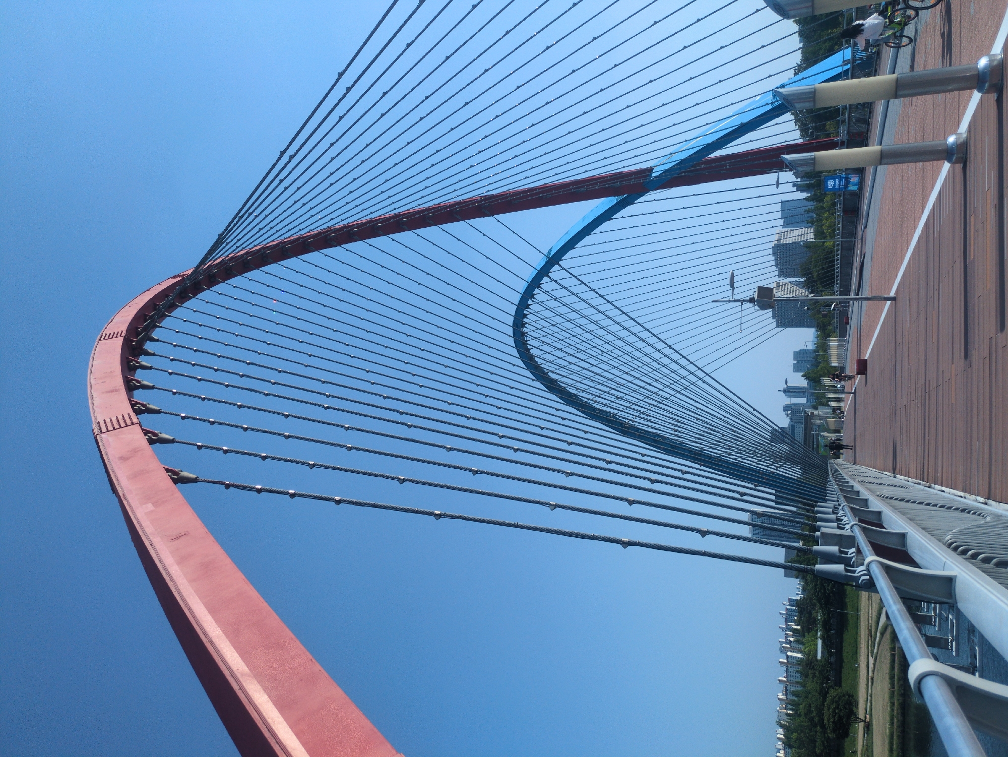 Morning documentation of Daejeon landmarks including Expo Bridge, Hanbit Tower