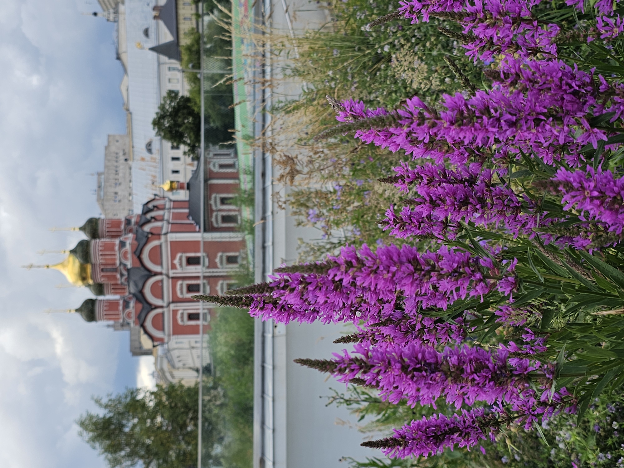 Afternoon walk through Red Square and Moscow's historic center