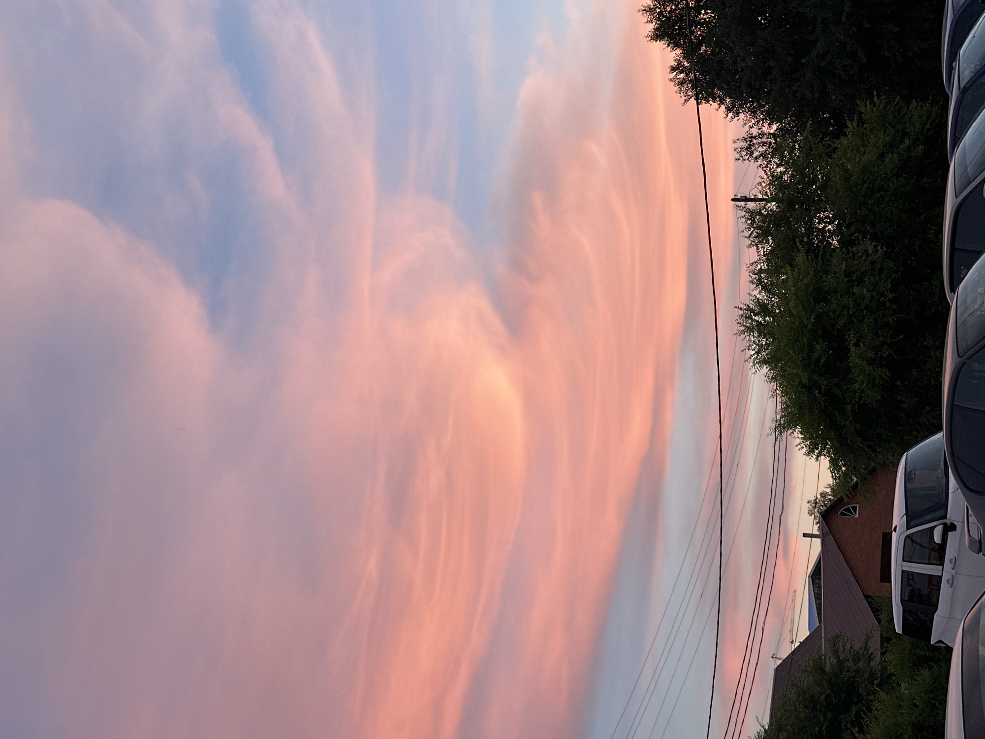 Dusk settles over a Blagoveshchensk parking lot with a dog and cars