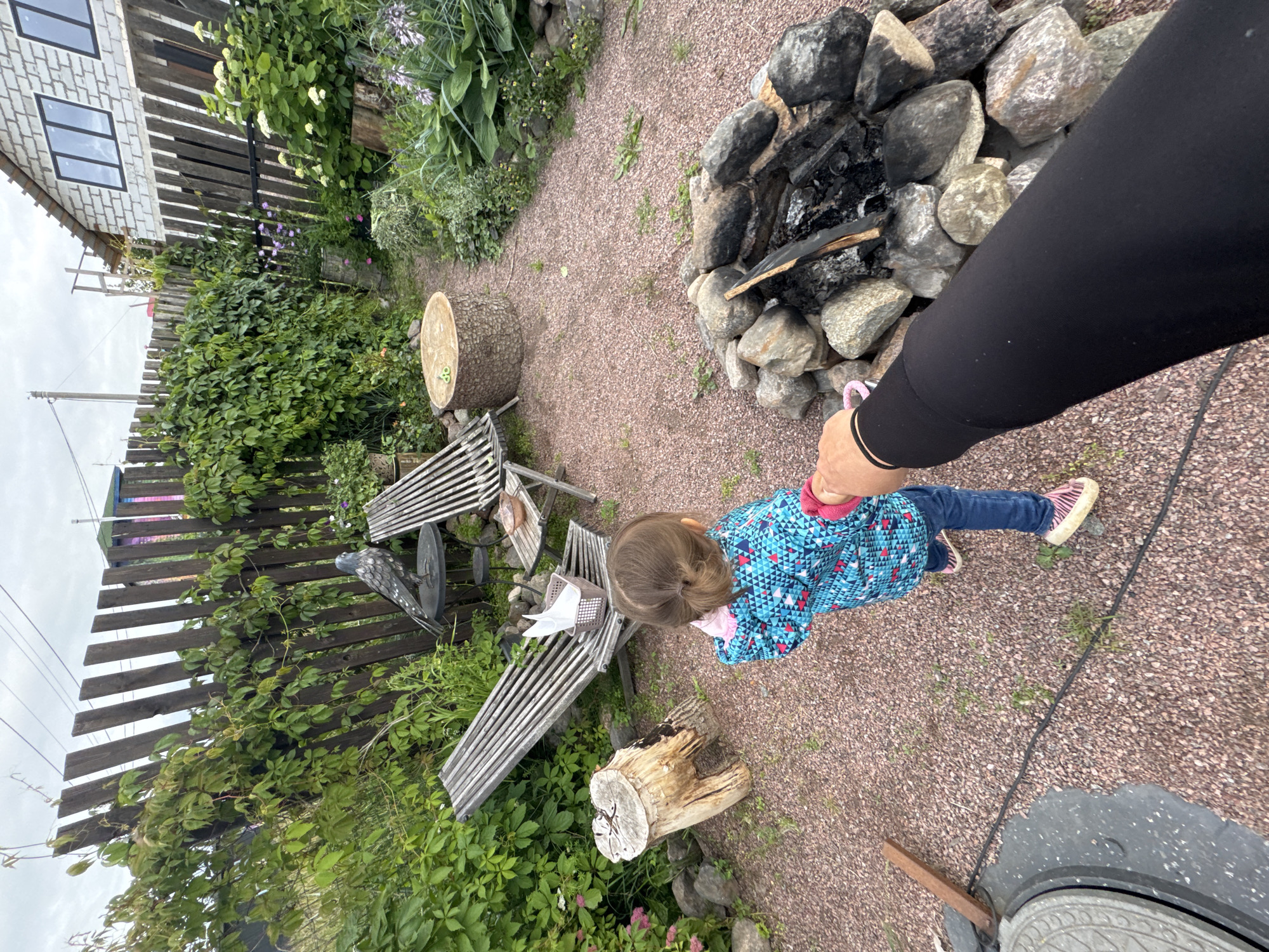 Two big dogs and a curious kid in a Kempelevo backyard