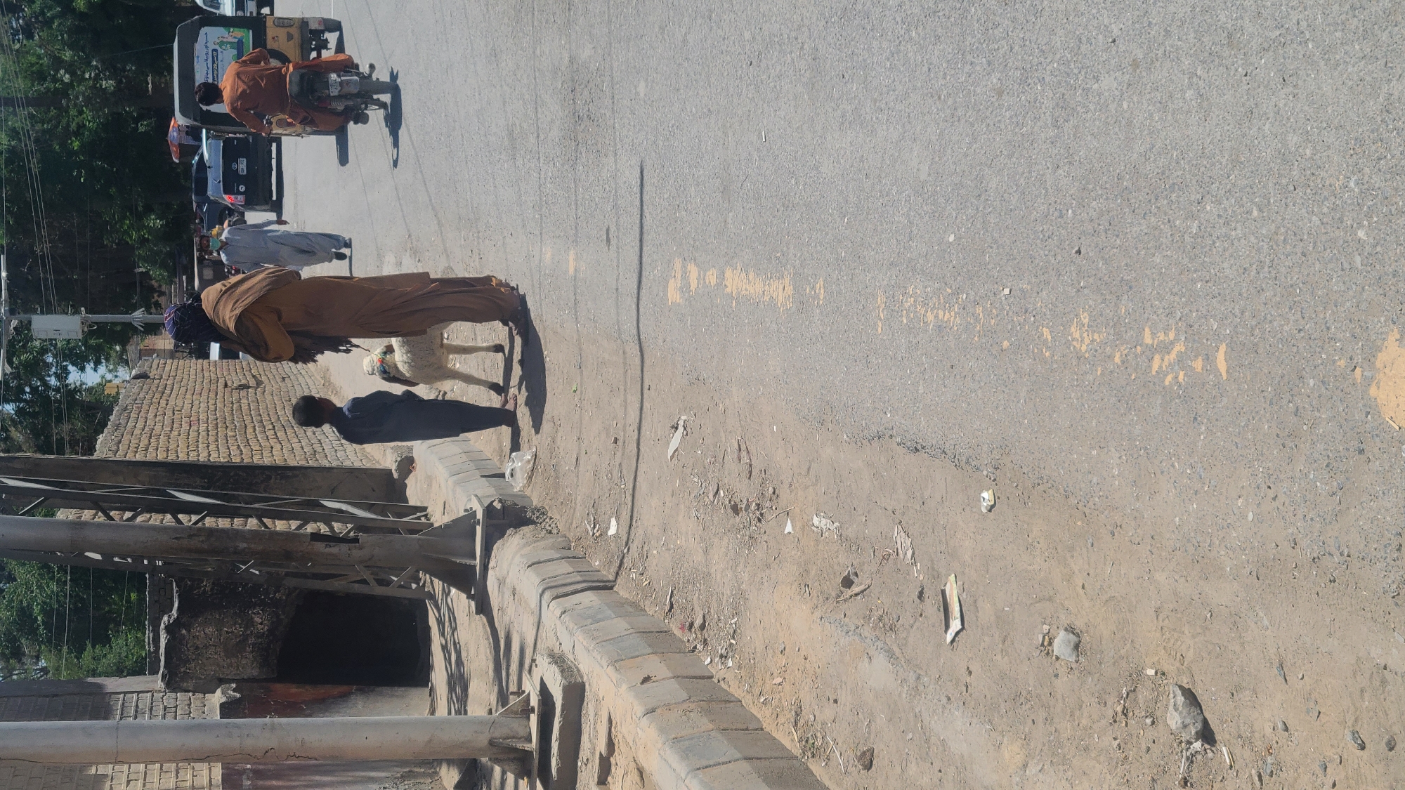 Morning street life documented in Quetta with livestock, motorcycles