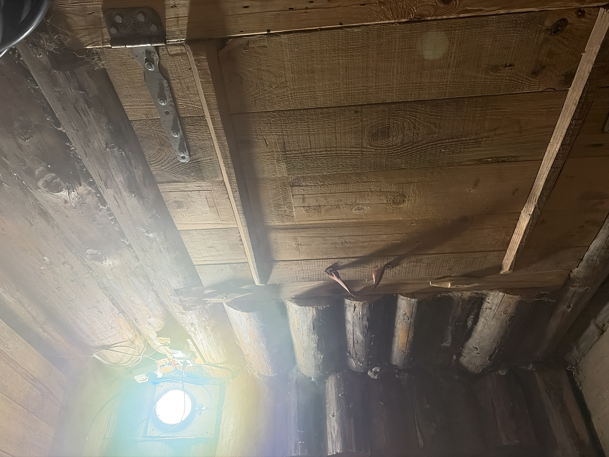 Spring day activities documented in Кемуль Russia sauna grilling cycling