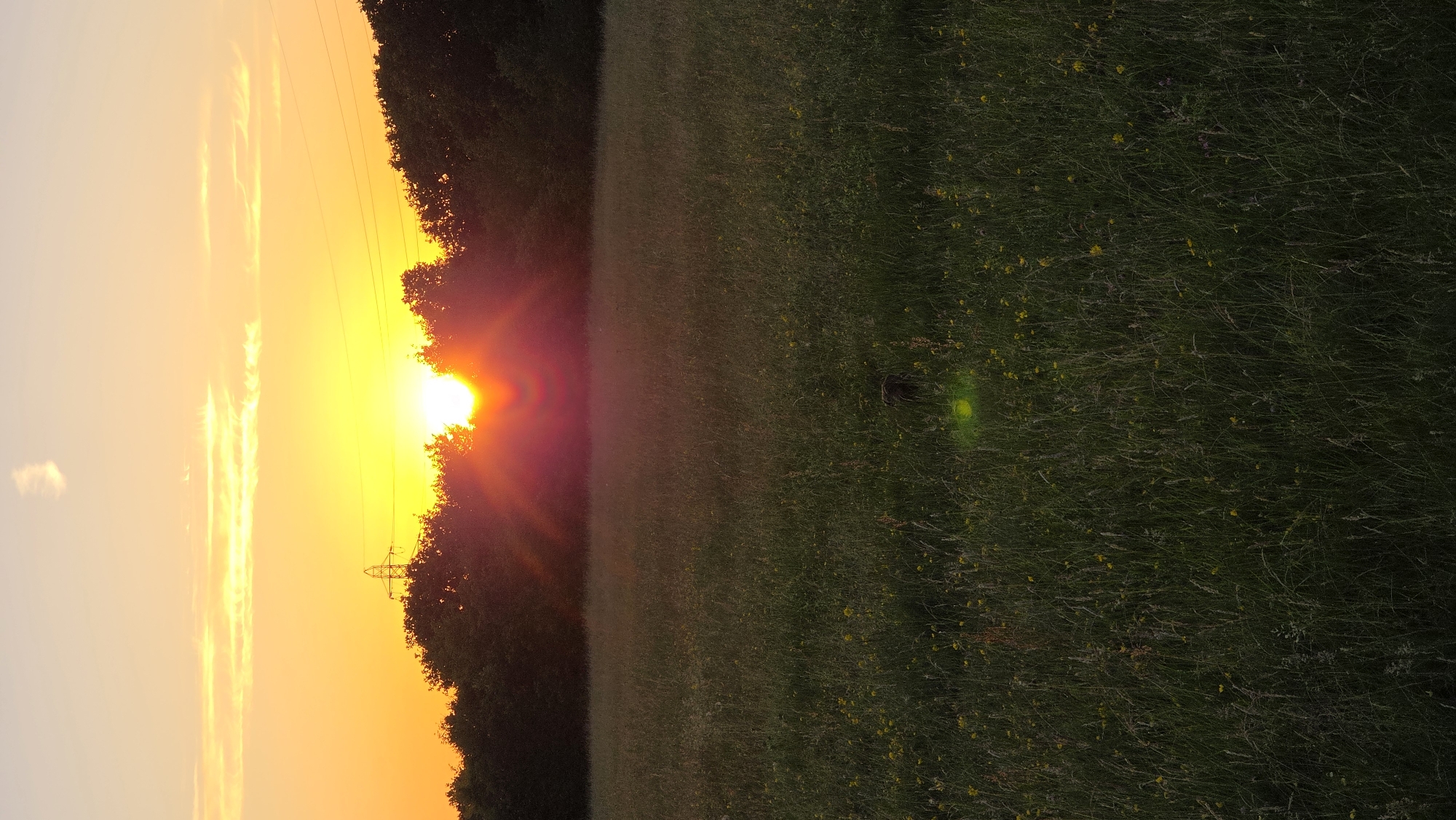 Sunset to moonrise, with a snake sighting along the way