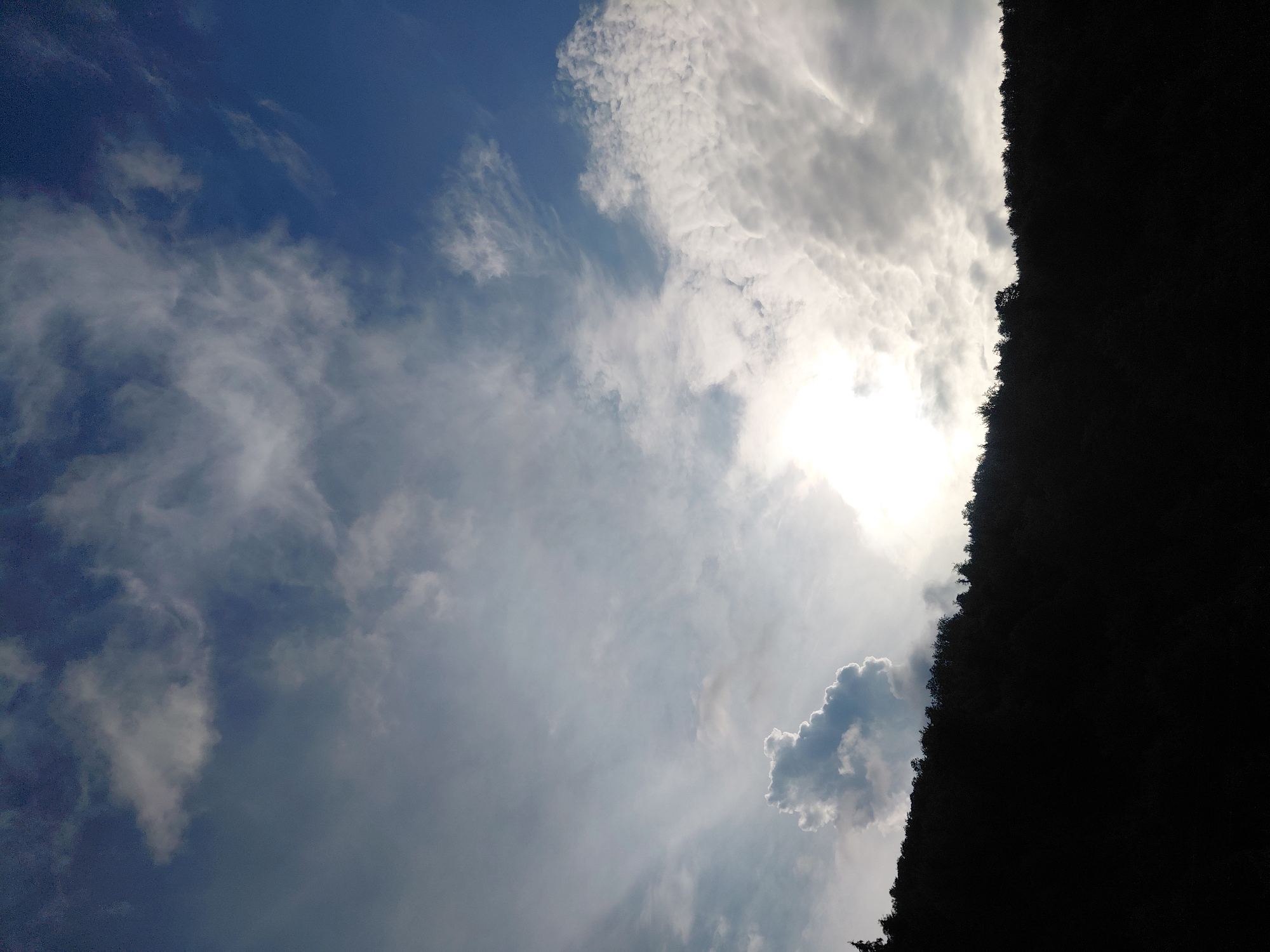 Countryside details and wide skies in Chernyk, Ukraine