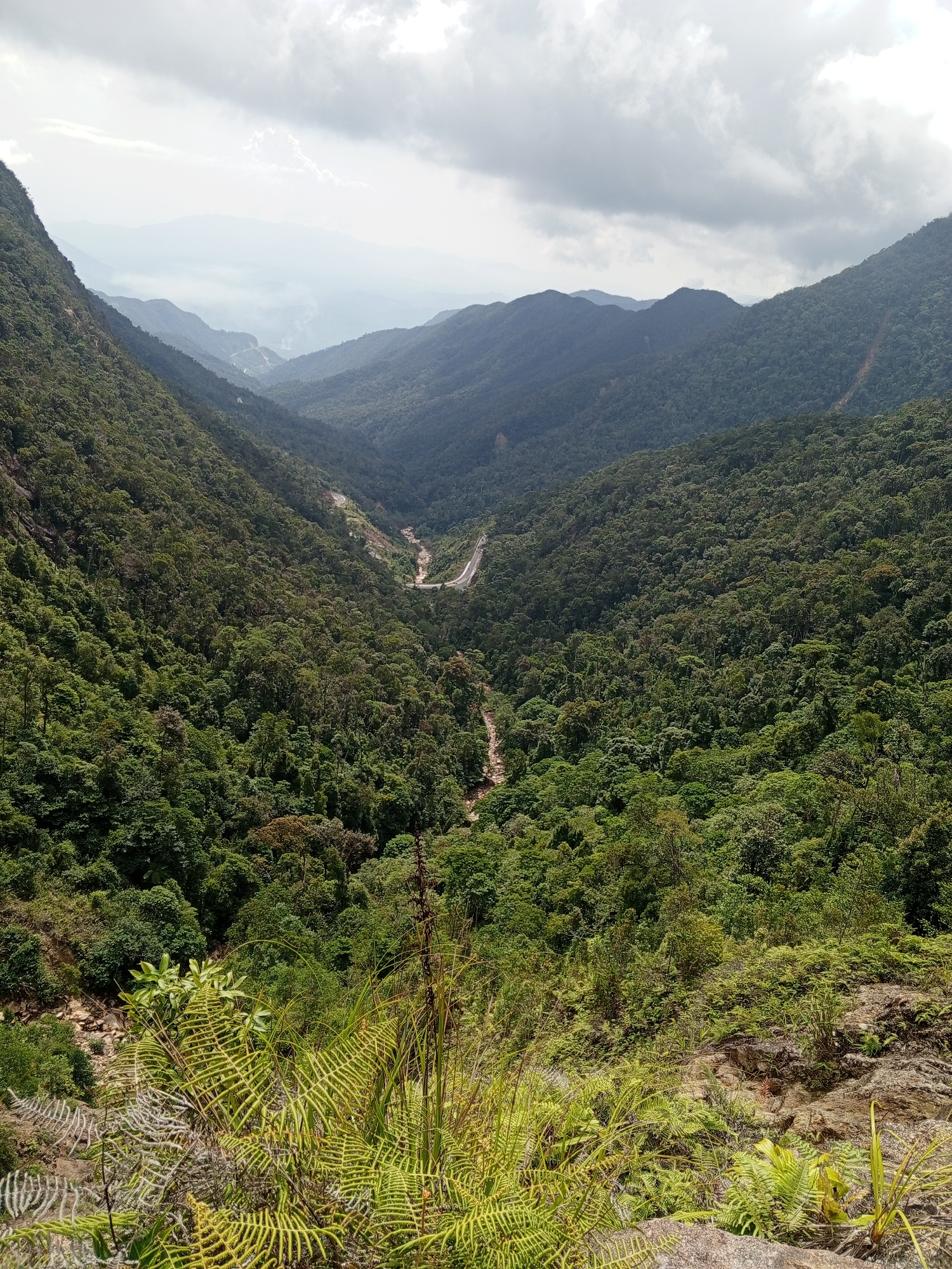 Hikers document Vietnamese mountain landscape in early morning session