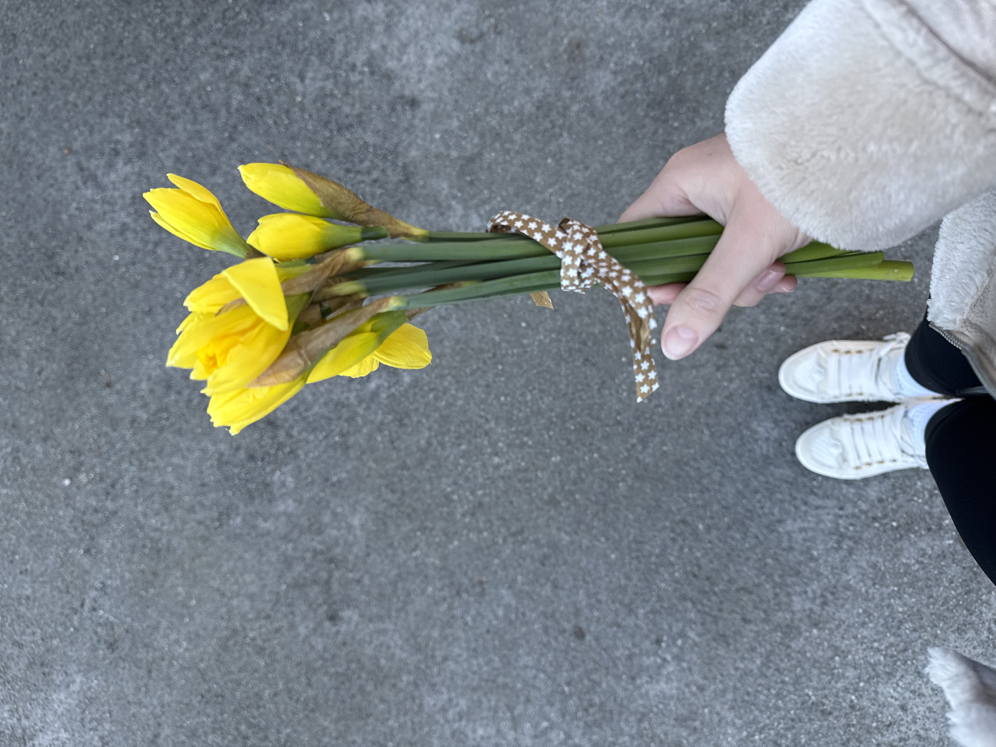 Spring daffodil picking captured in East Suffolk countryside