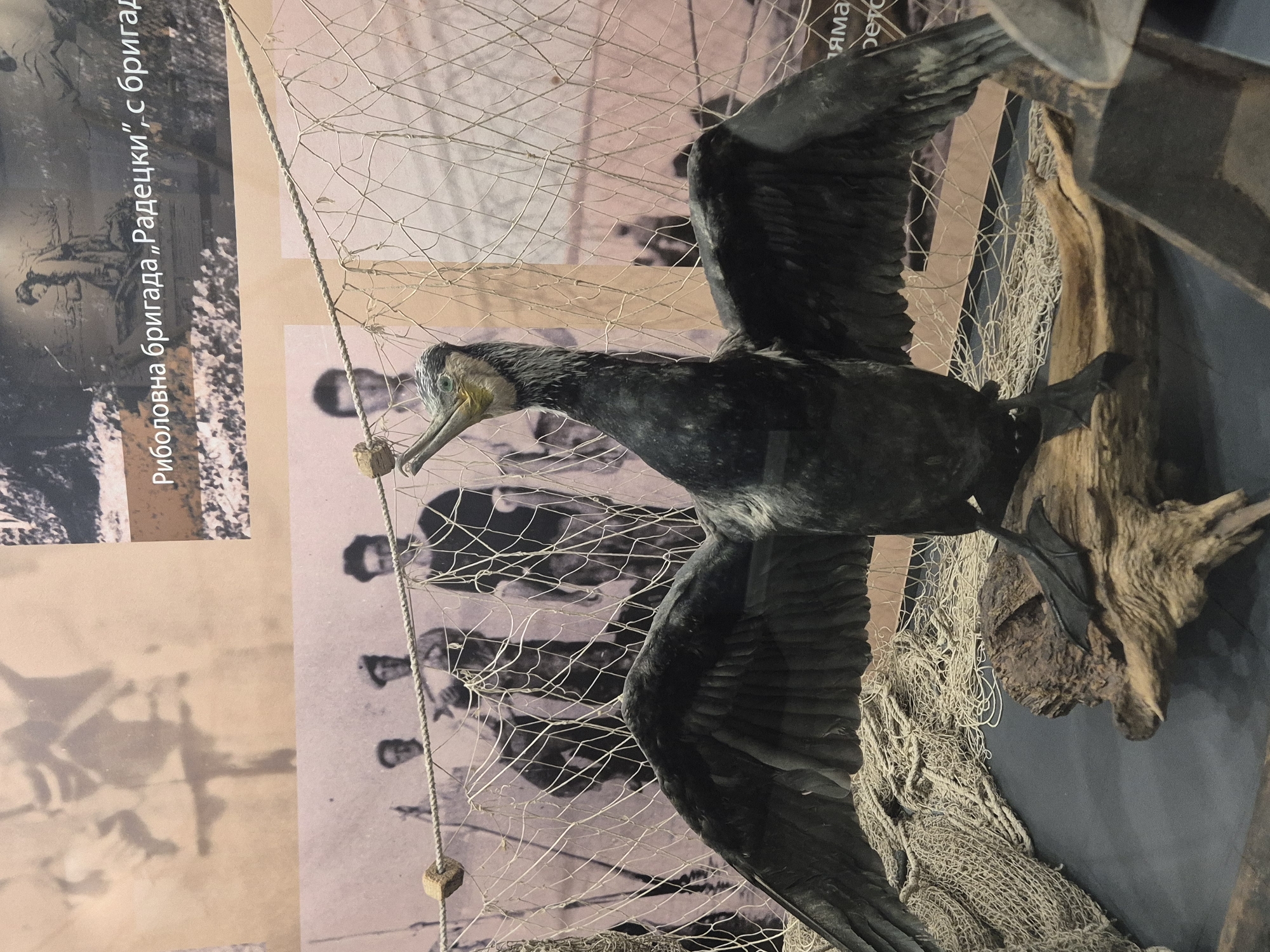 Morning museum visit documented in Tutrakan, Bulgaria fishing heritage site