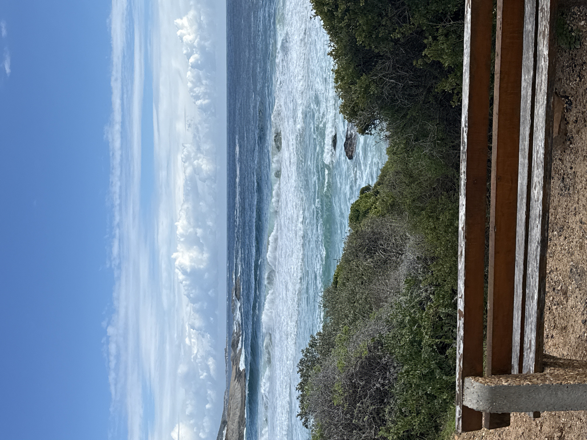 Coastal bench documented during midday visit to Hout Bay