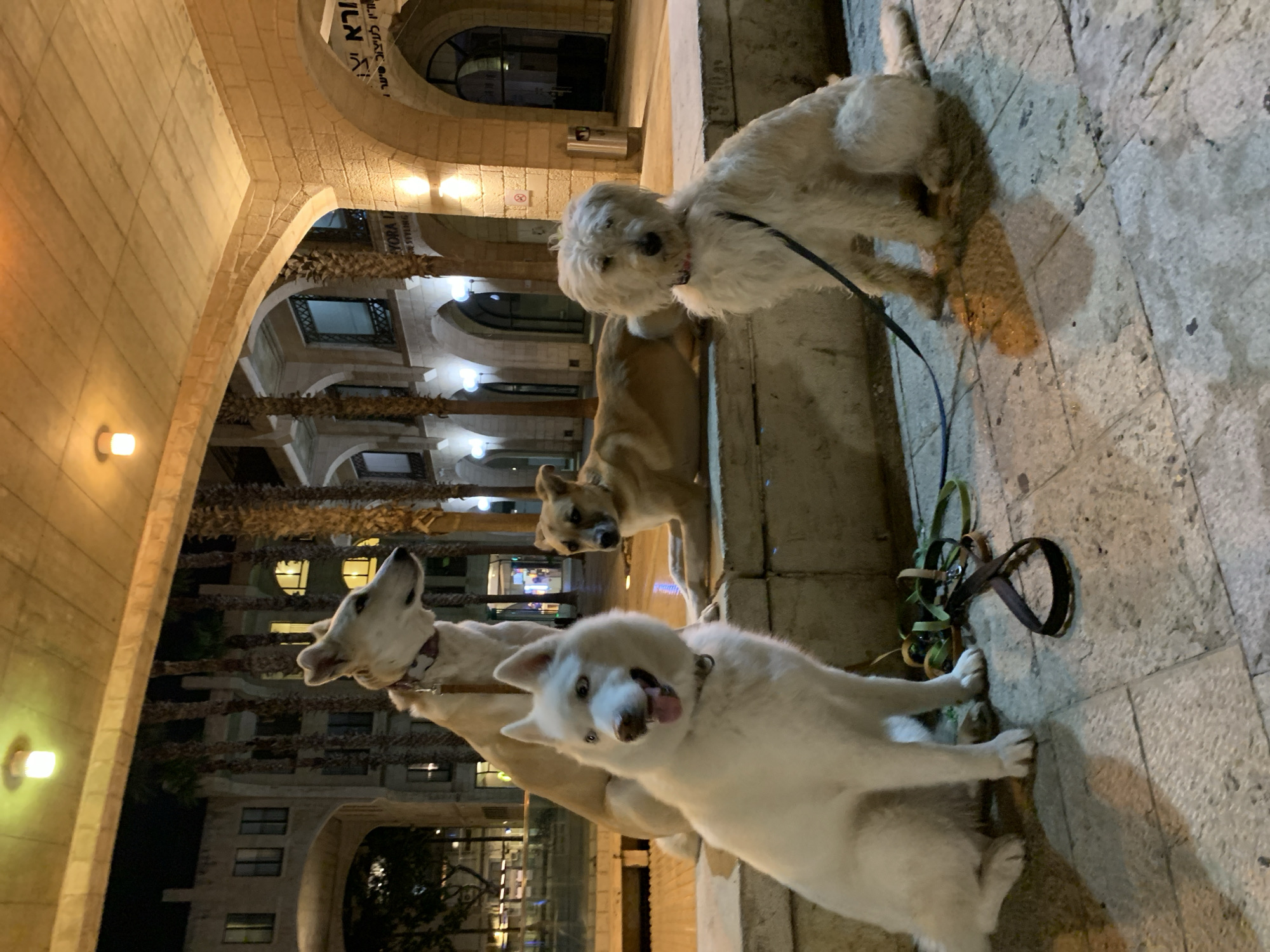 Evening life captured across Tel Aviv neighborhoods