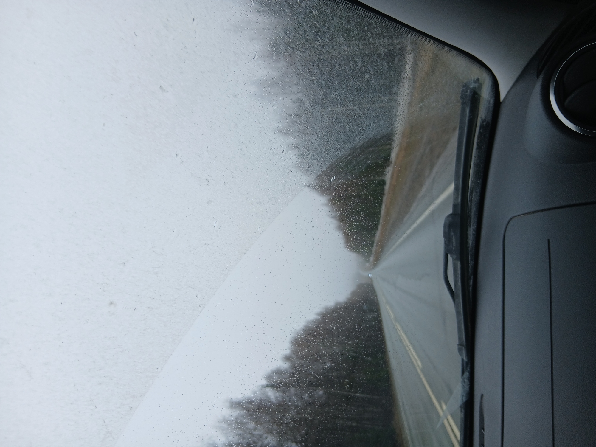 Rainy morning drive captured on tree-lined road in Russia