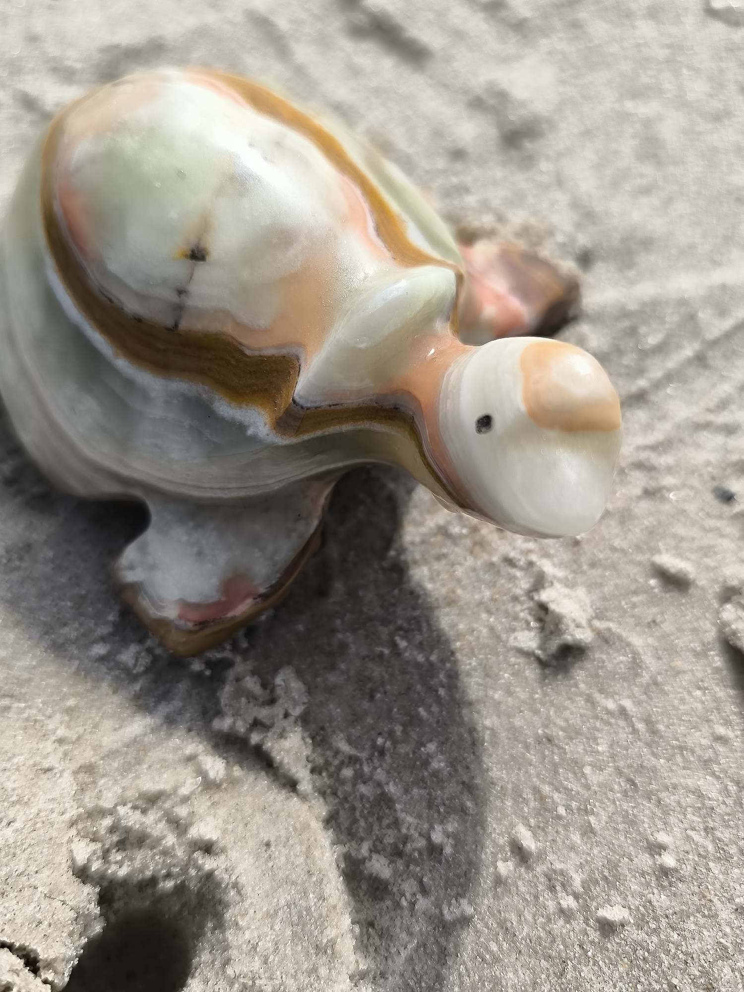 Beach treasures and coastal scenes documented in Klaipėda, Lithuania