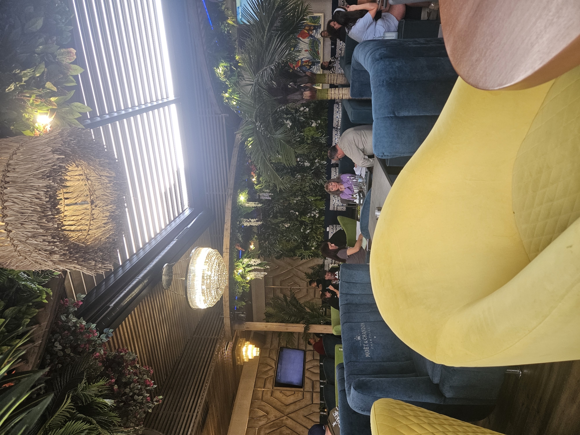 Upscale tropical-themed lounge documented in Sofia, Bulgaria