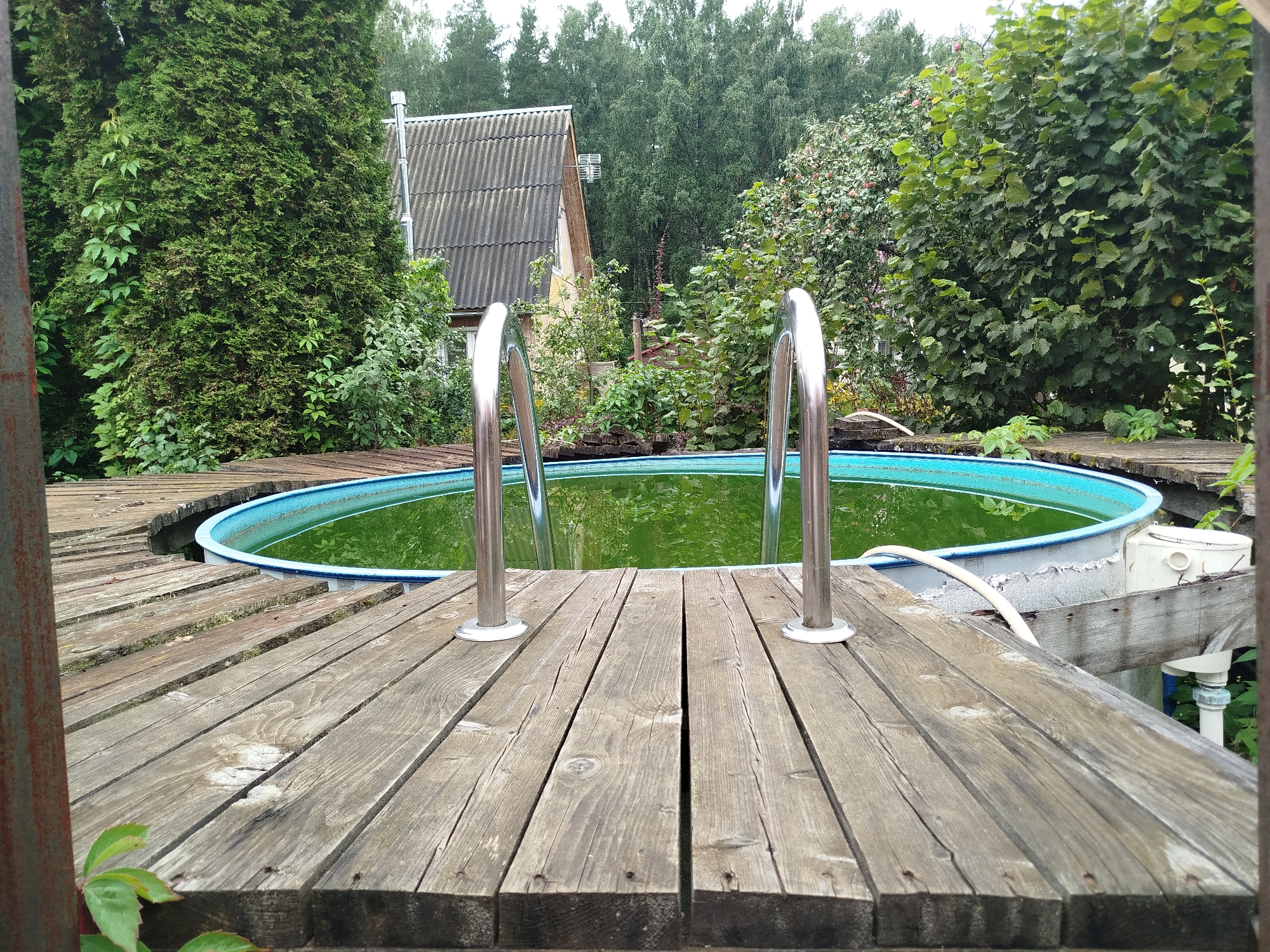 Rainy summer afternoon at a Russian dacha garden plot
