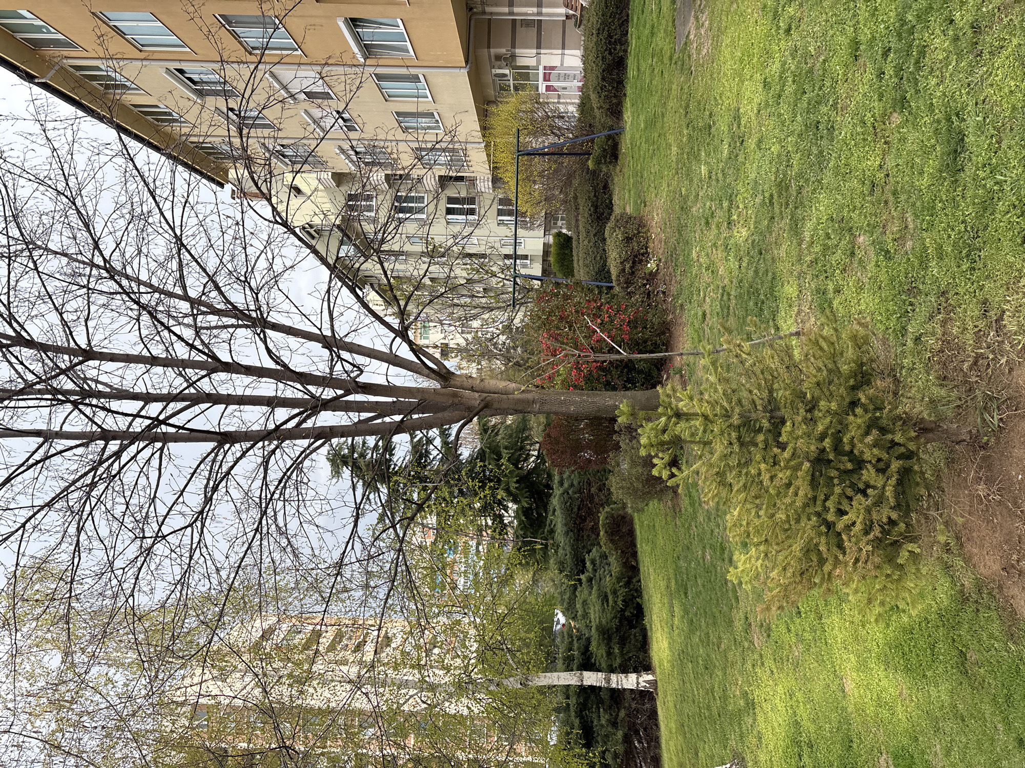 Construction activity documented in Sofia residential area