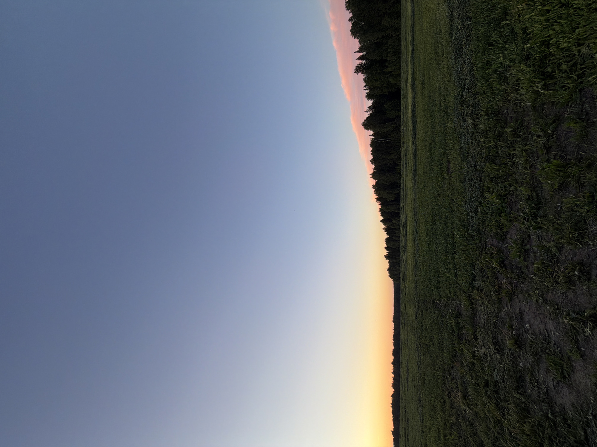 Man documents golden hour countryside moments in rural Russia
