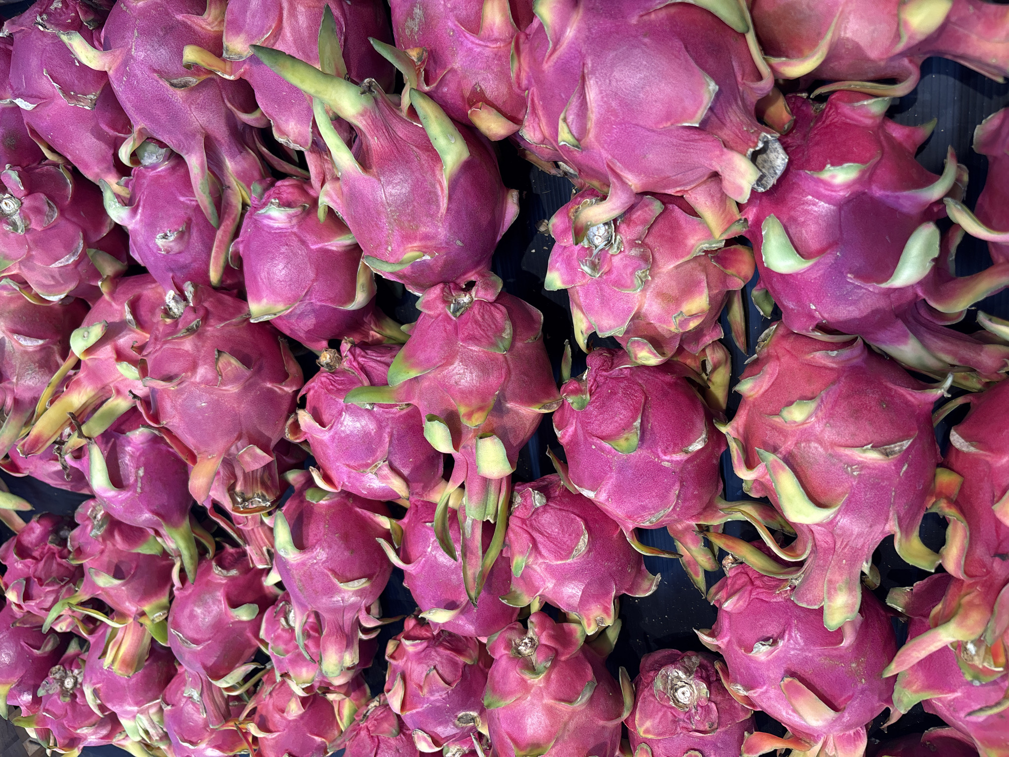 Tropical fruit market display captured in Ko Samui, Thailand