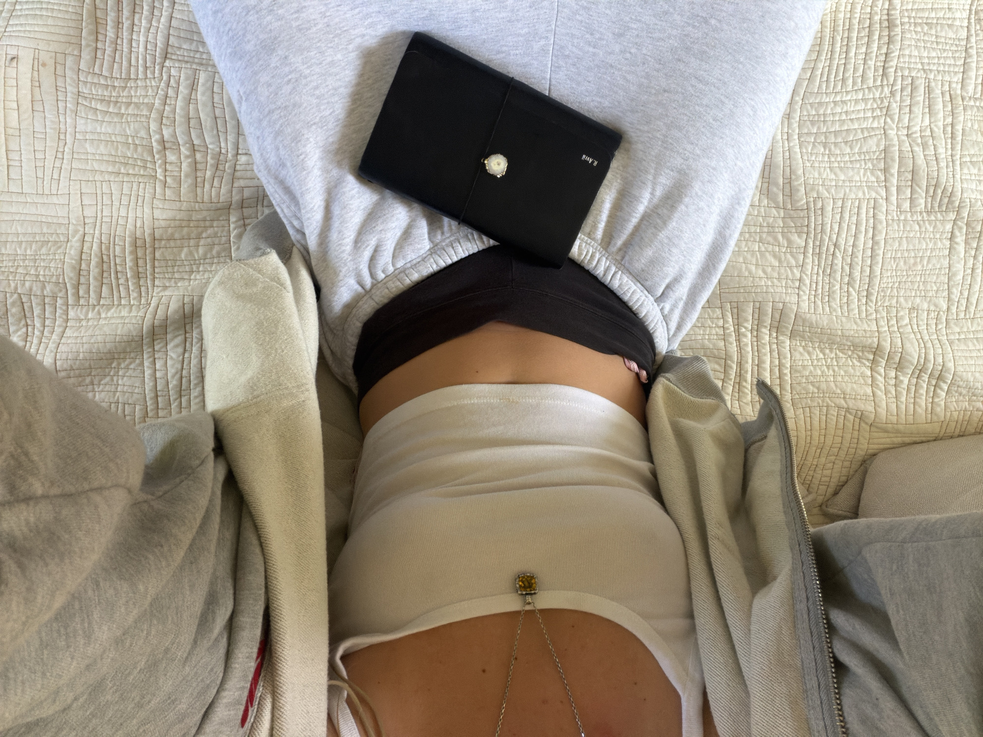Quiet domestic afternoon captured in Los Angeles living space