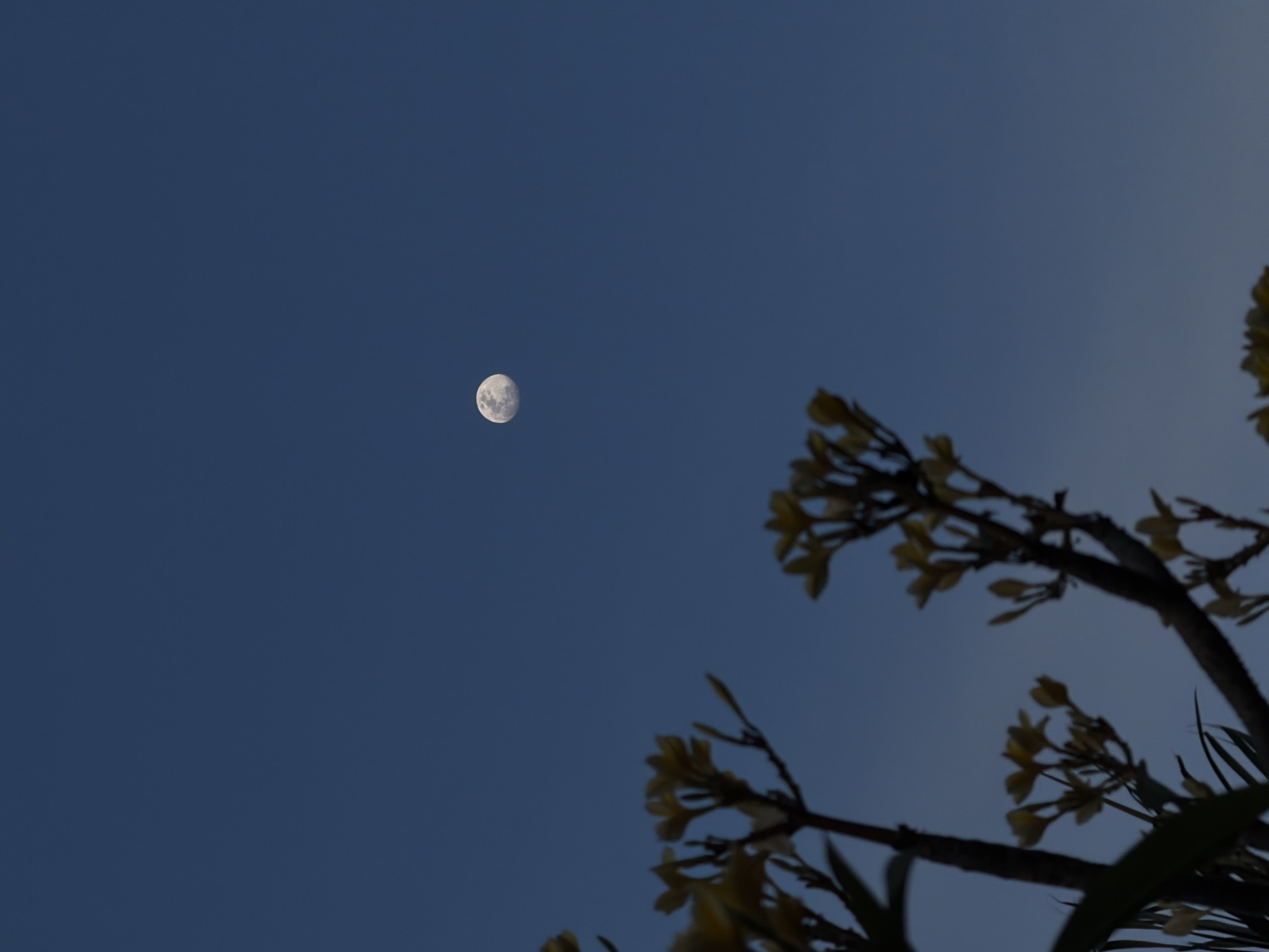 Baby portrait and daytime moon captured in Reforma