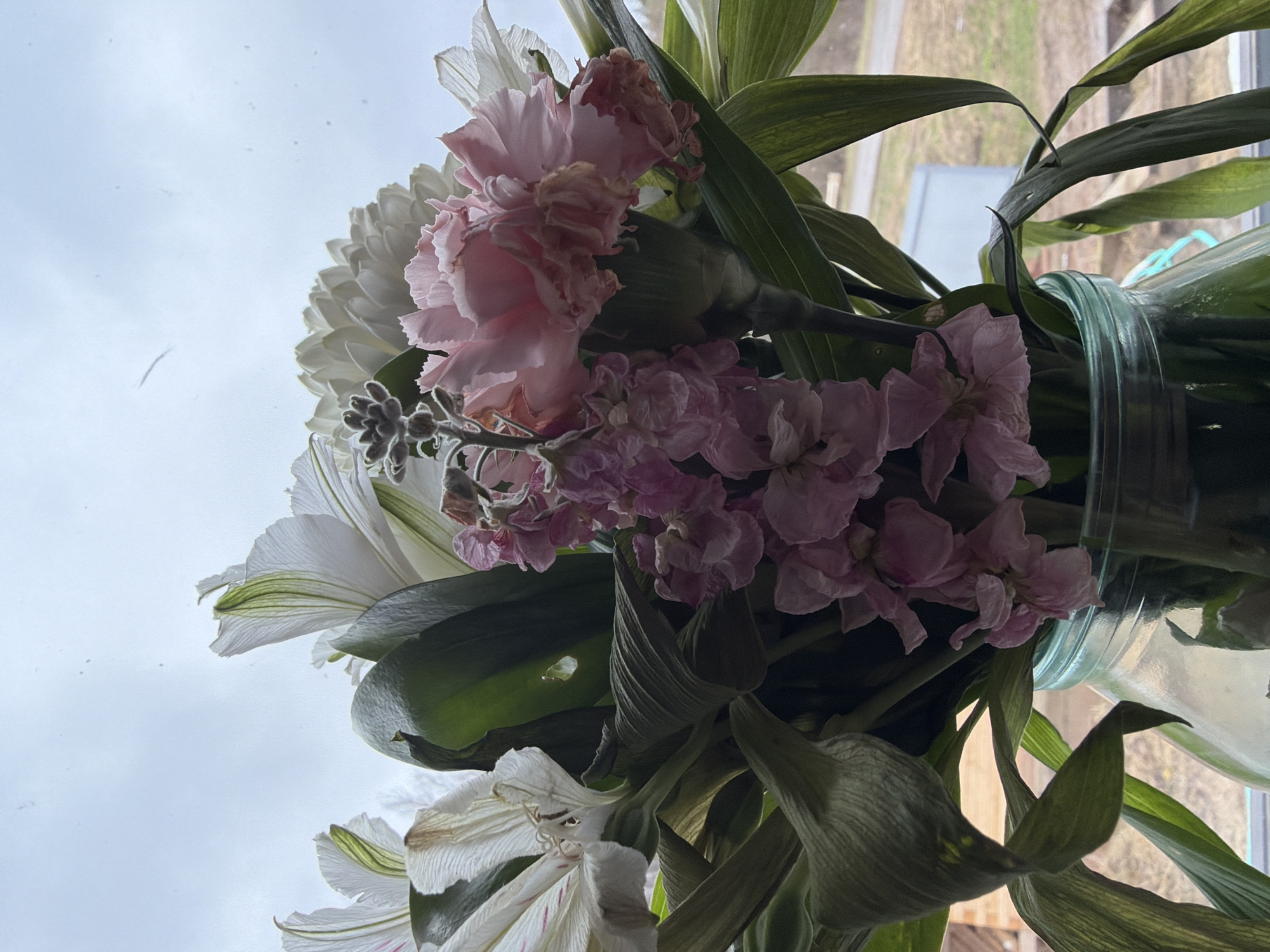 Spring flower arrangement documented in Rusalevka home window