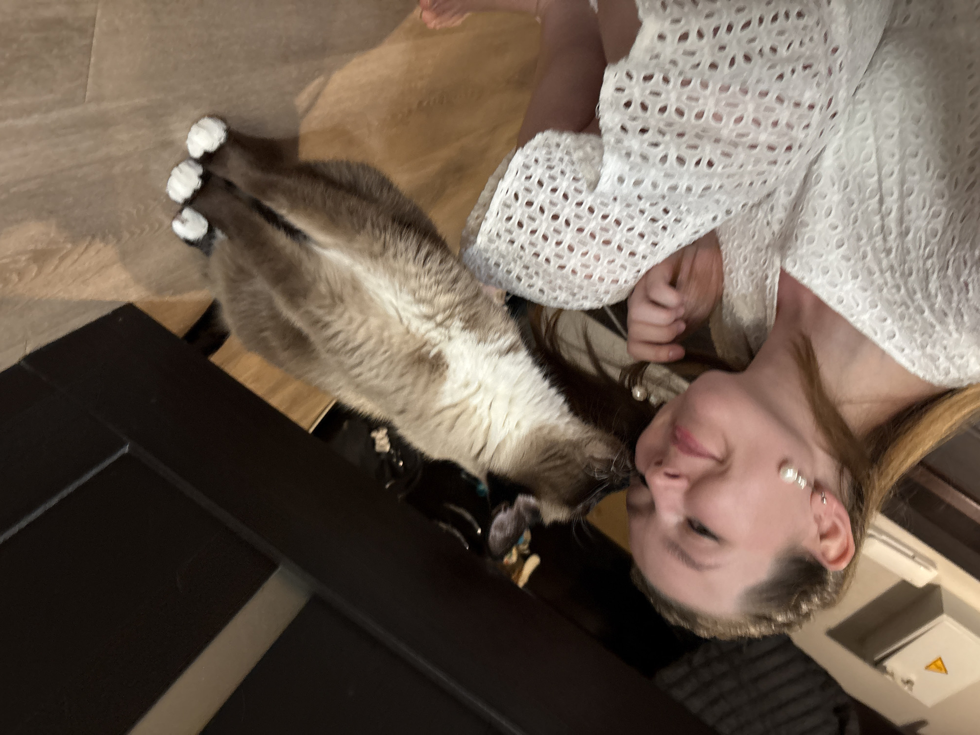Quiet afternoon moments captured in Izhevsk: pets and wildlife