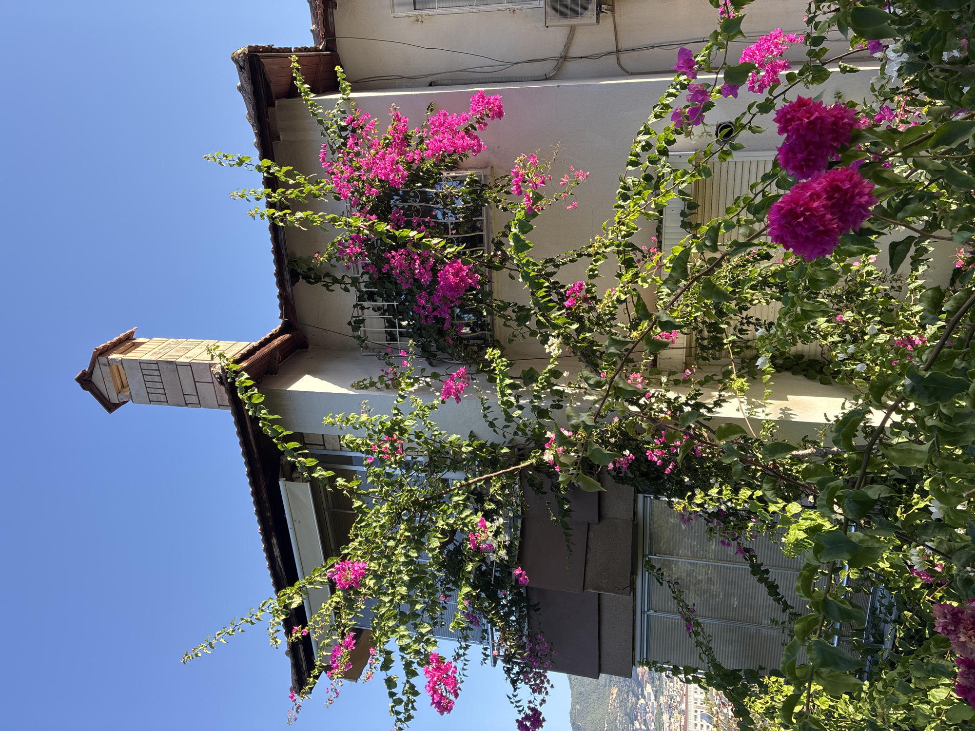 Morning light across Alanya — rooftops, blooms, and coastal views