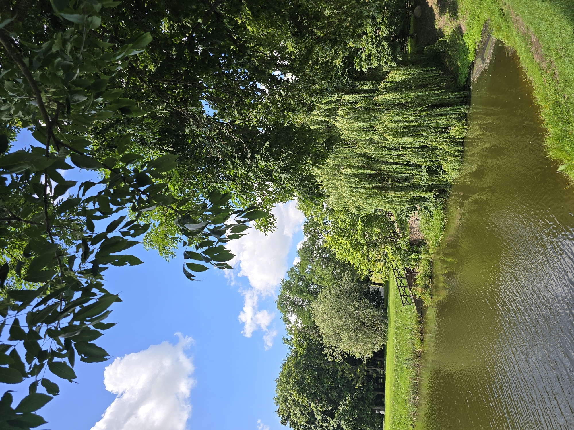 Nesvizh Castle and its lakeside grounds on a summer morning