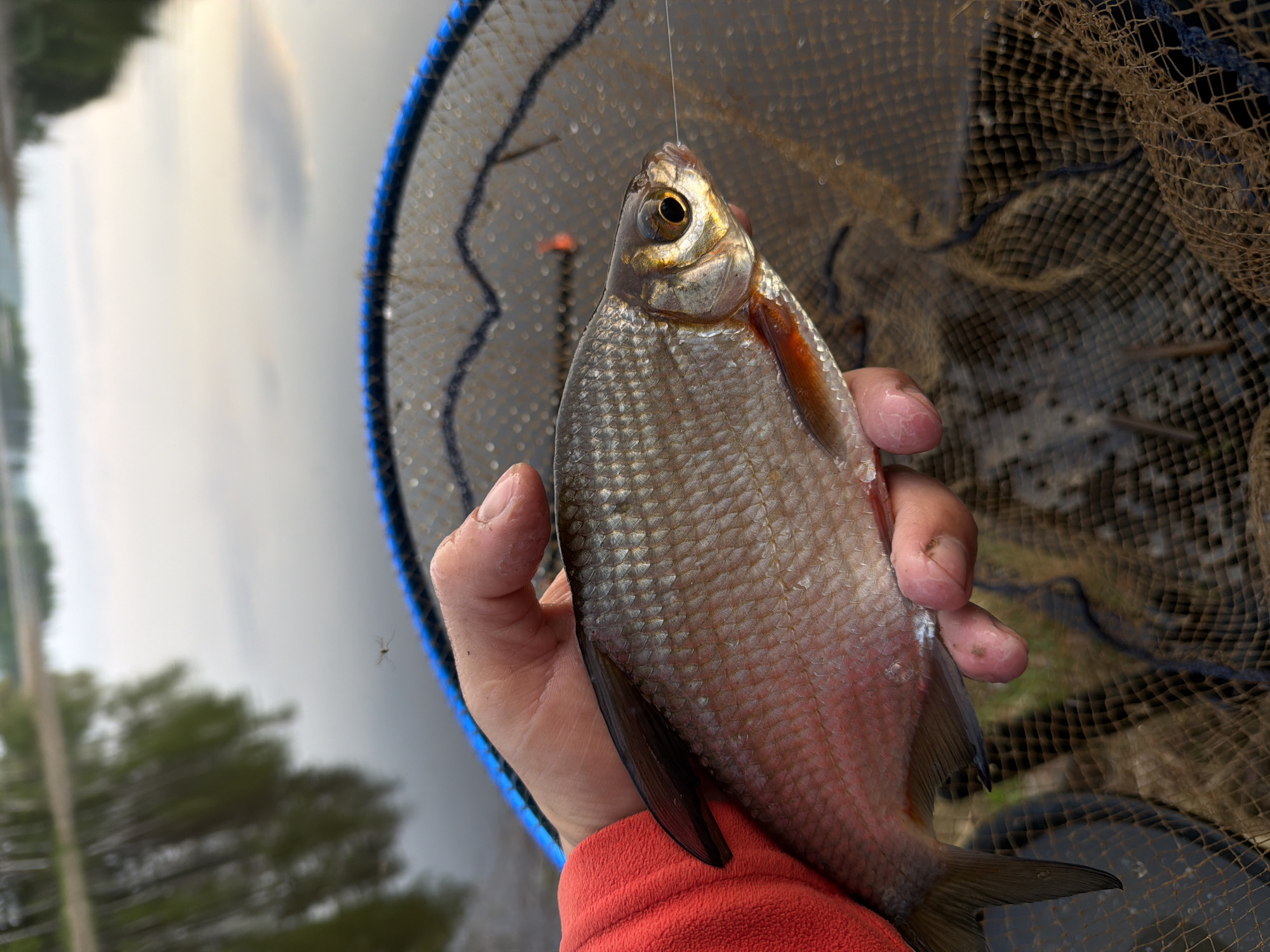 Late night fishing catch documented in Chaykovsky, Russia