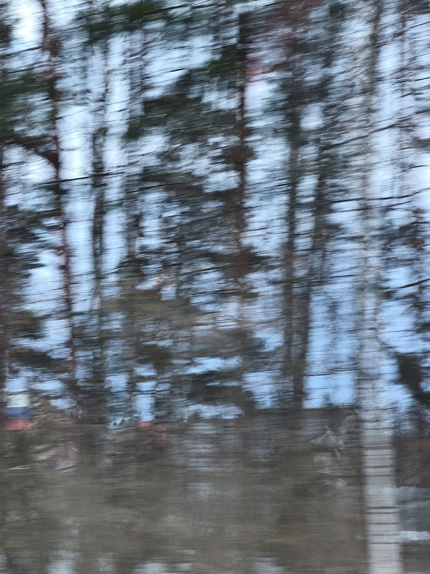 Winter scenery documented in Novoe Mart'yanovo, Russia