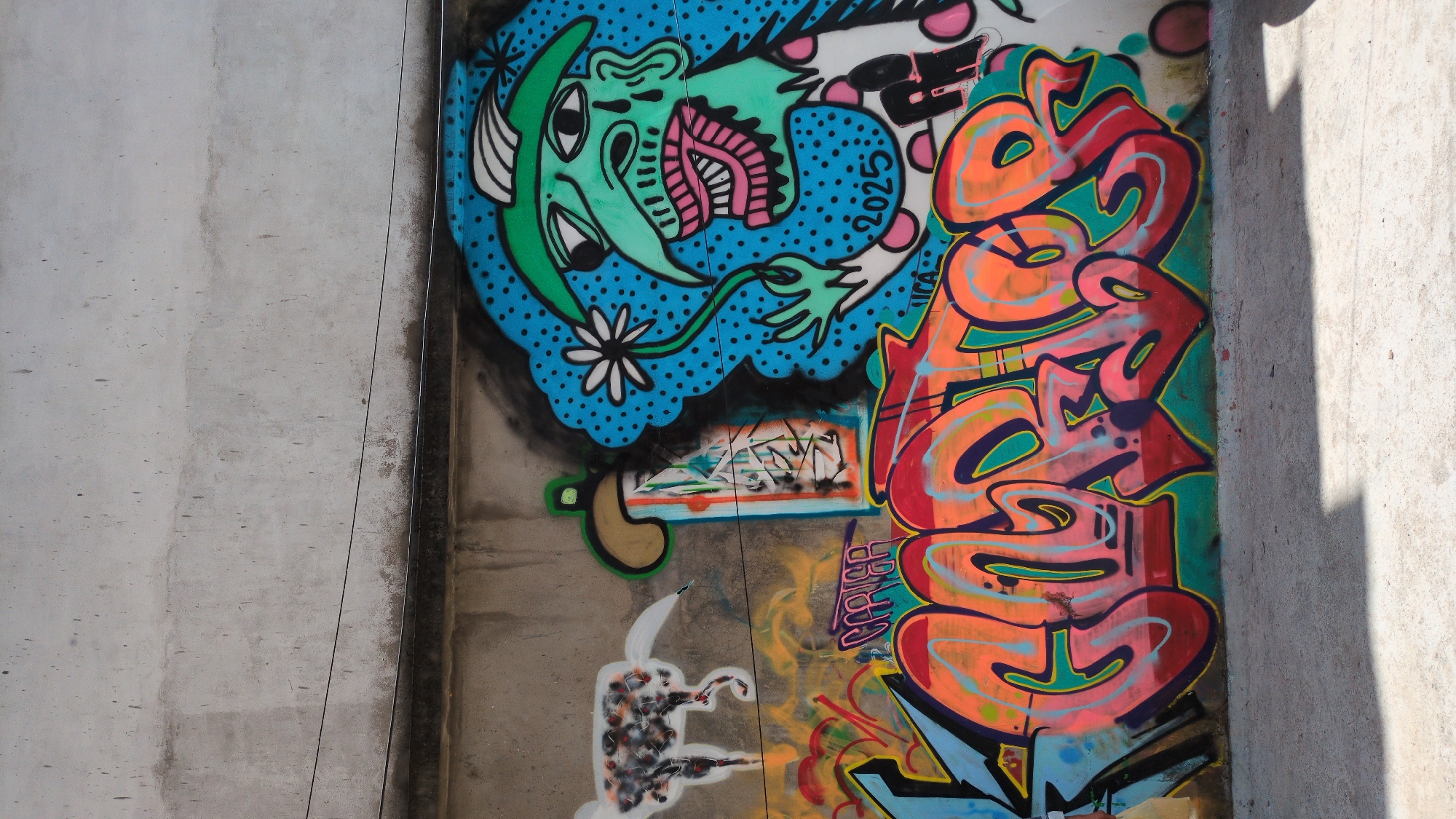 Street art and temple scenes documented in Bhagsu, India