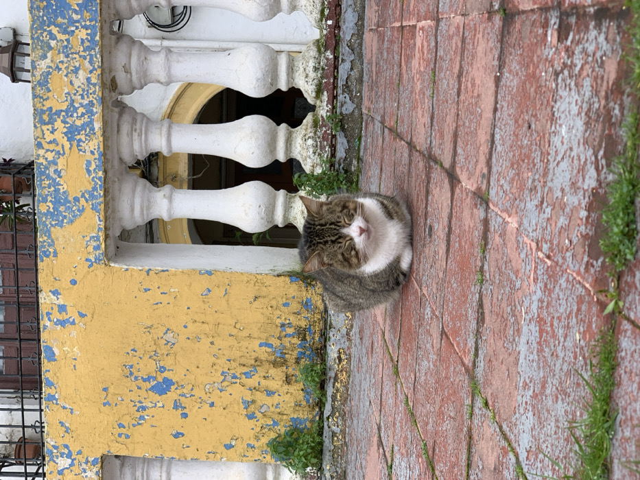 Ordinary afternoon moments captured across Tangier's streets and cafes