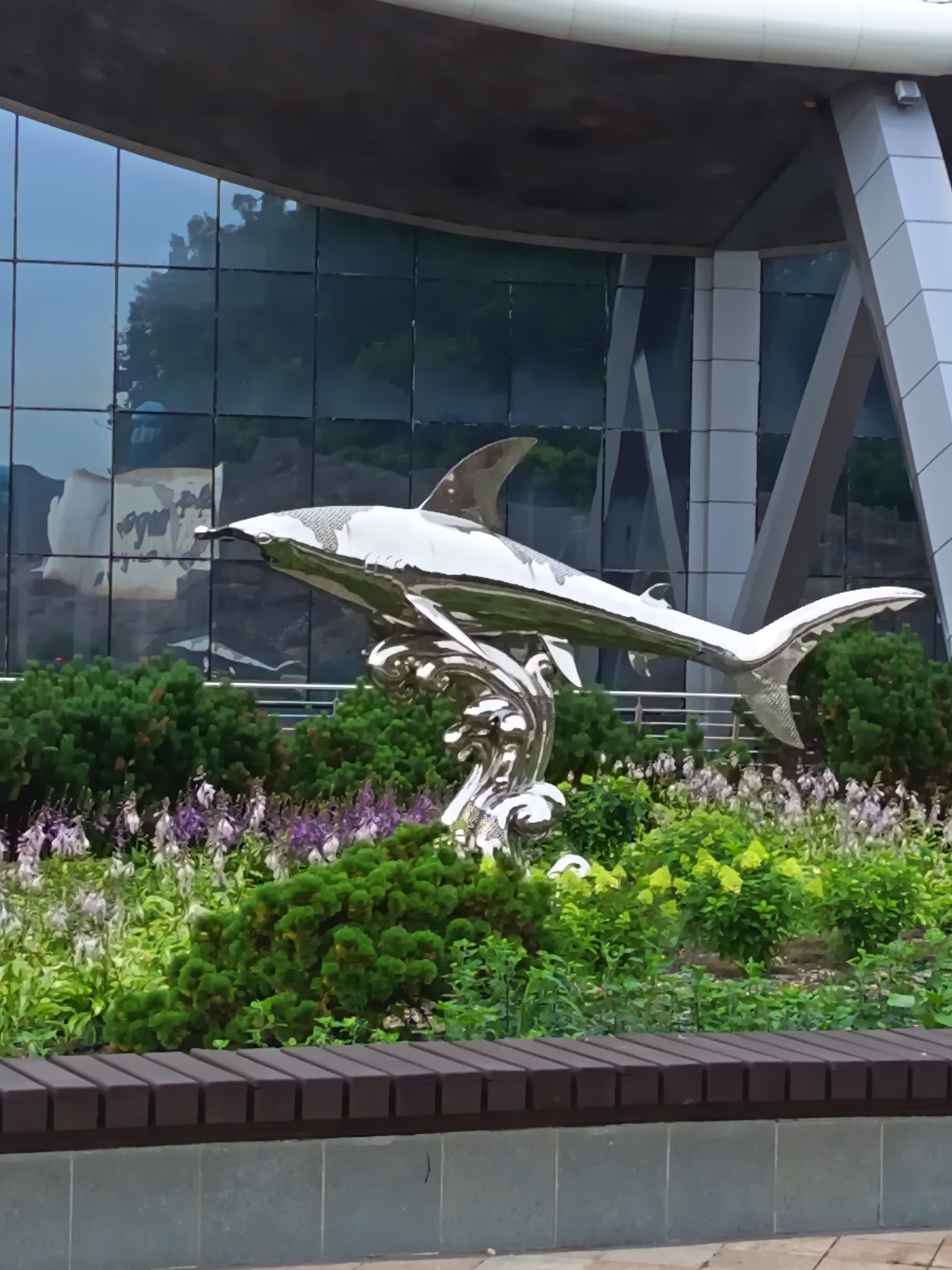 Around FEFU's Russky Island campus on a summer morning