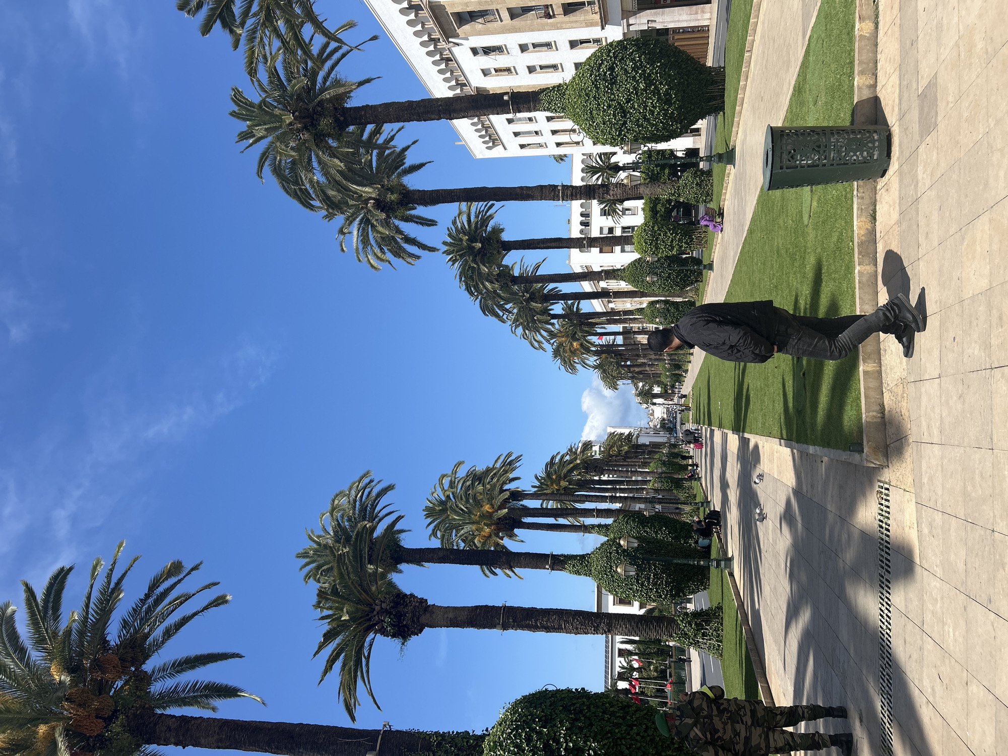 Palm-lined street scenes documented in Rabat, Morocco