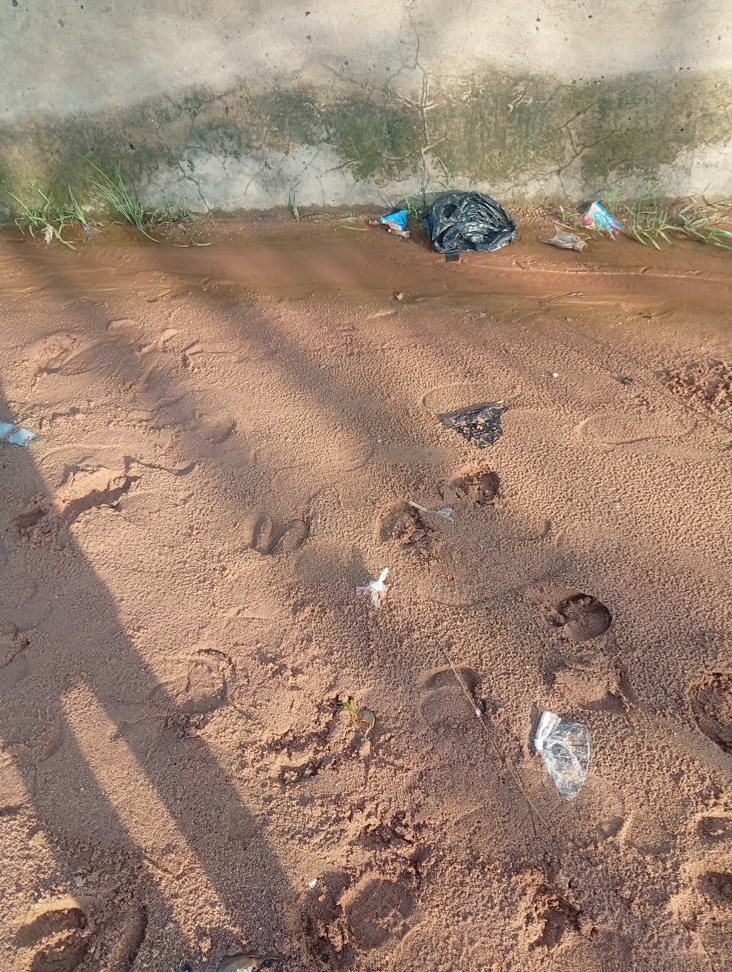 Jalingo streets after rain: flooding, construction, and daily life