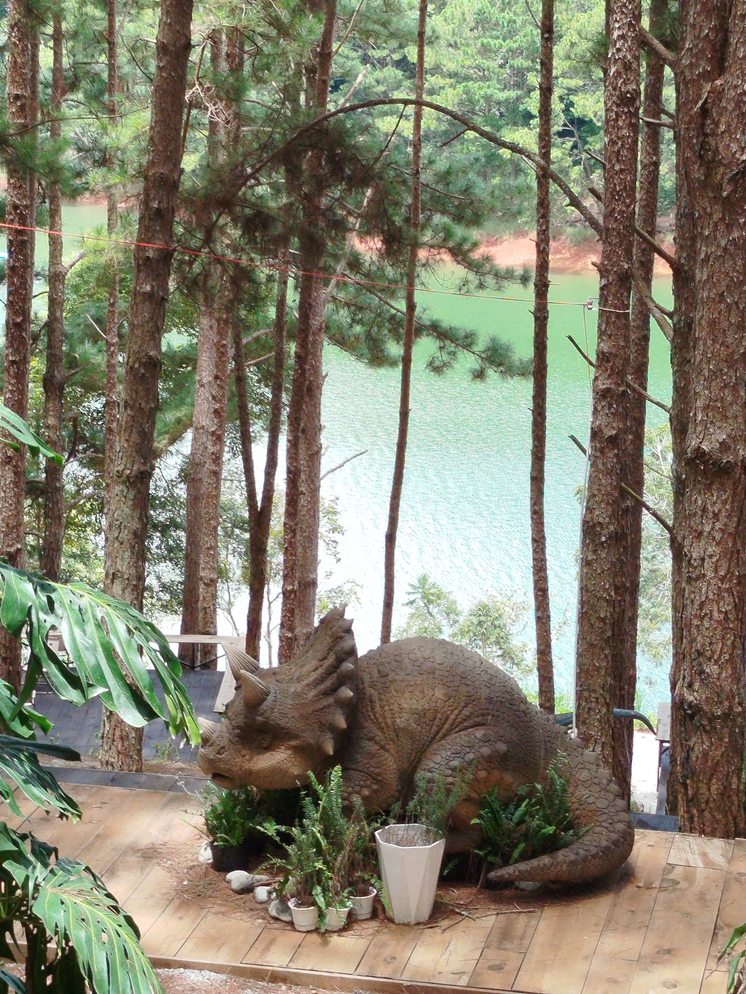 Da Lat, Vietnam