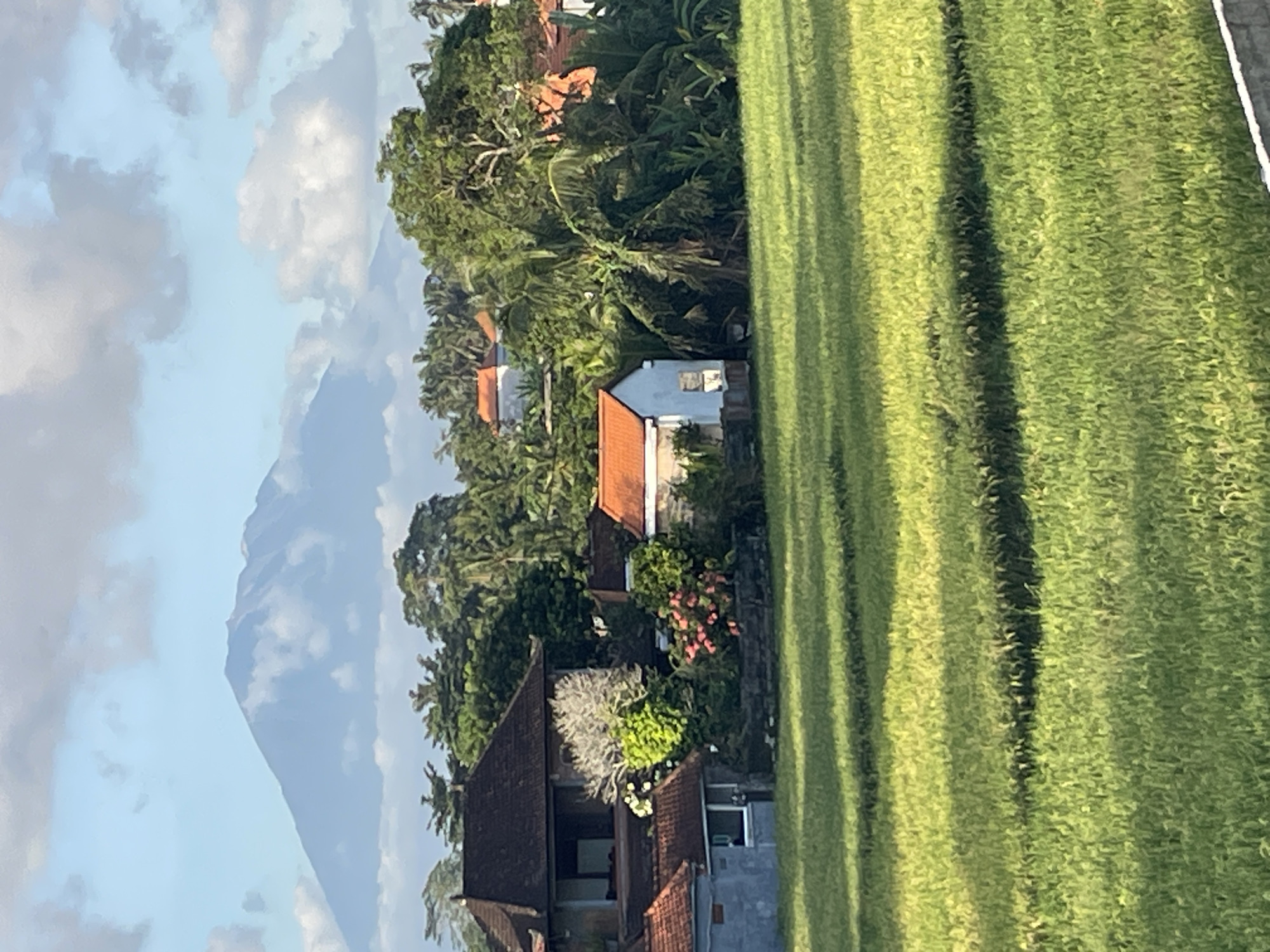 Rural tropical landscape with rice paddies and mountains documented