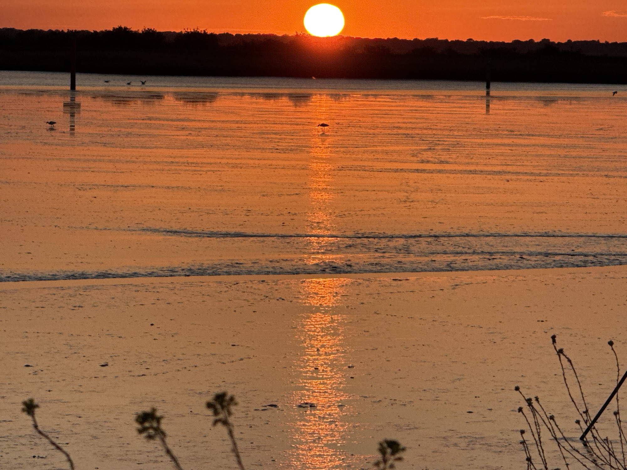 Sunset documented over Breydon Water near Great Yarmouth