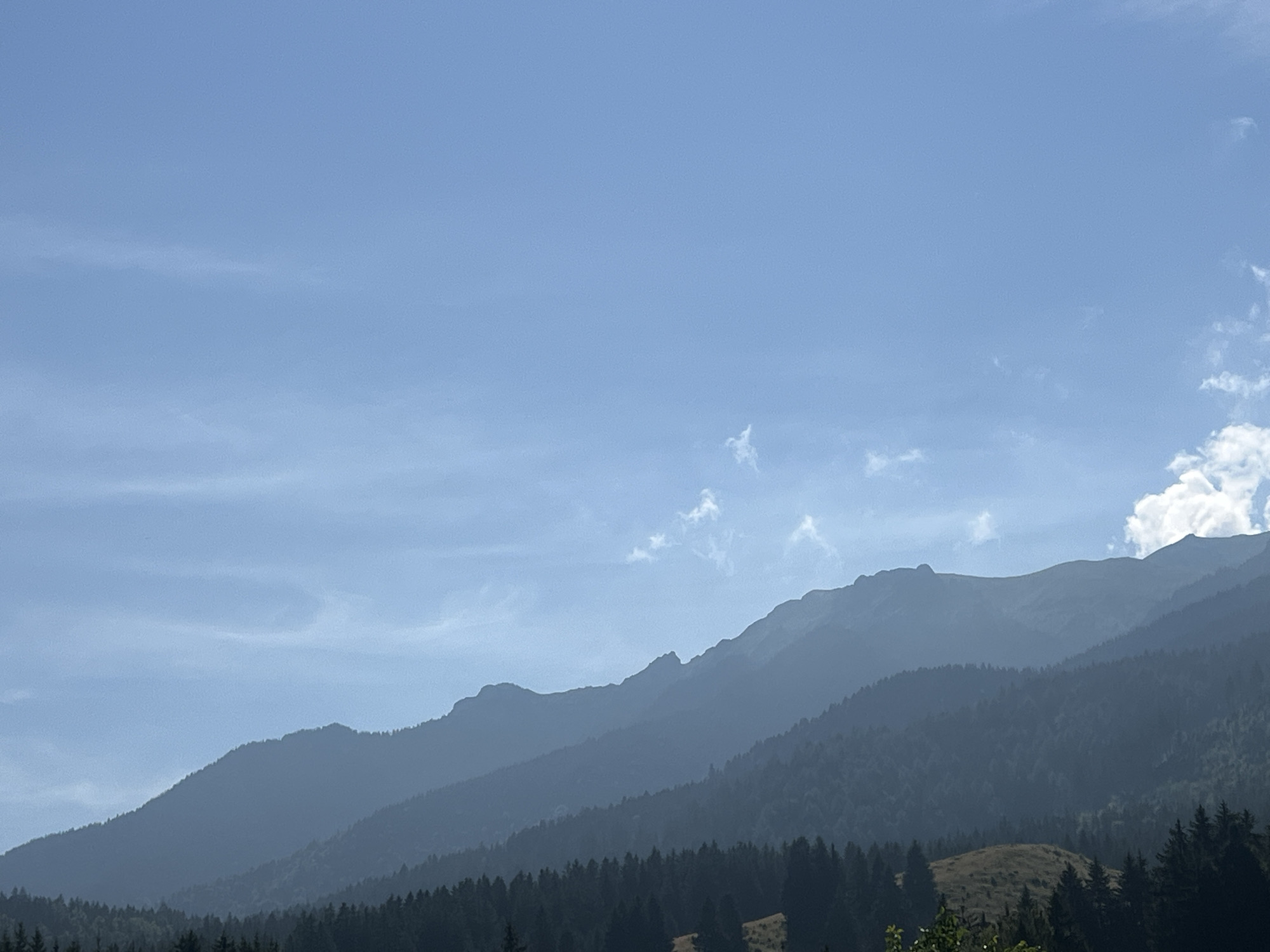 Layered mountain views from a forested overlook, birds in flight