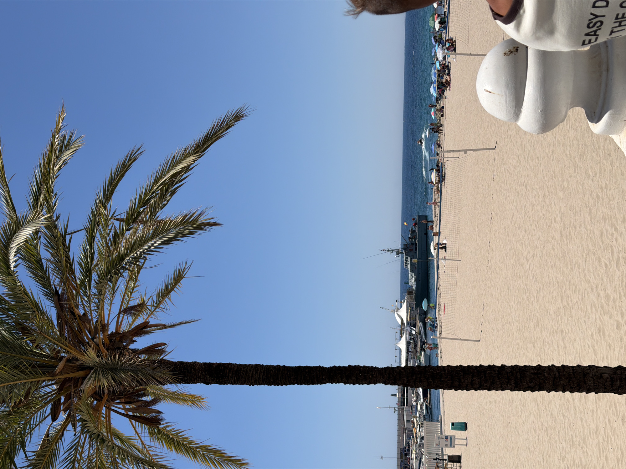 Bird costume street act draws crowd on Benidorm's beachfront plaza