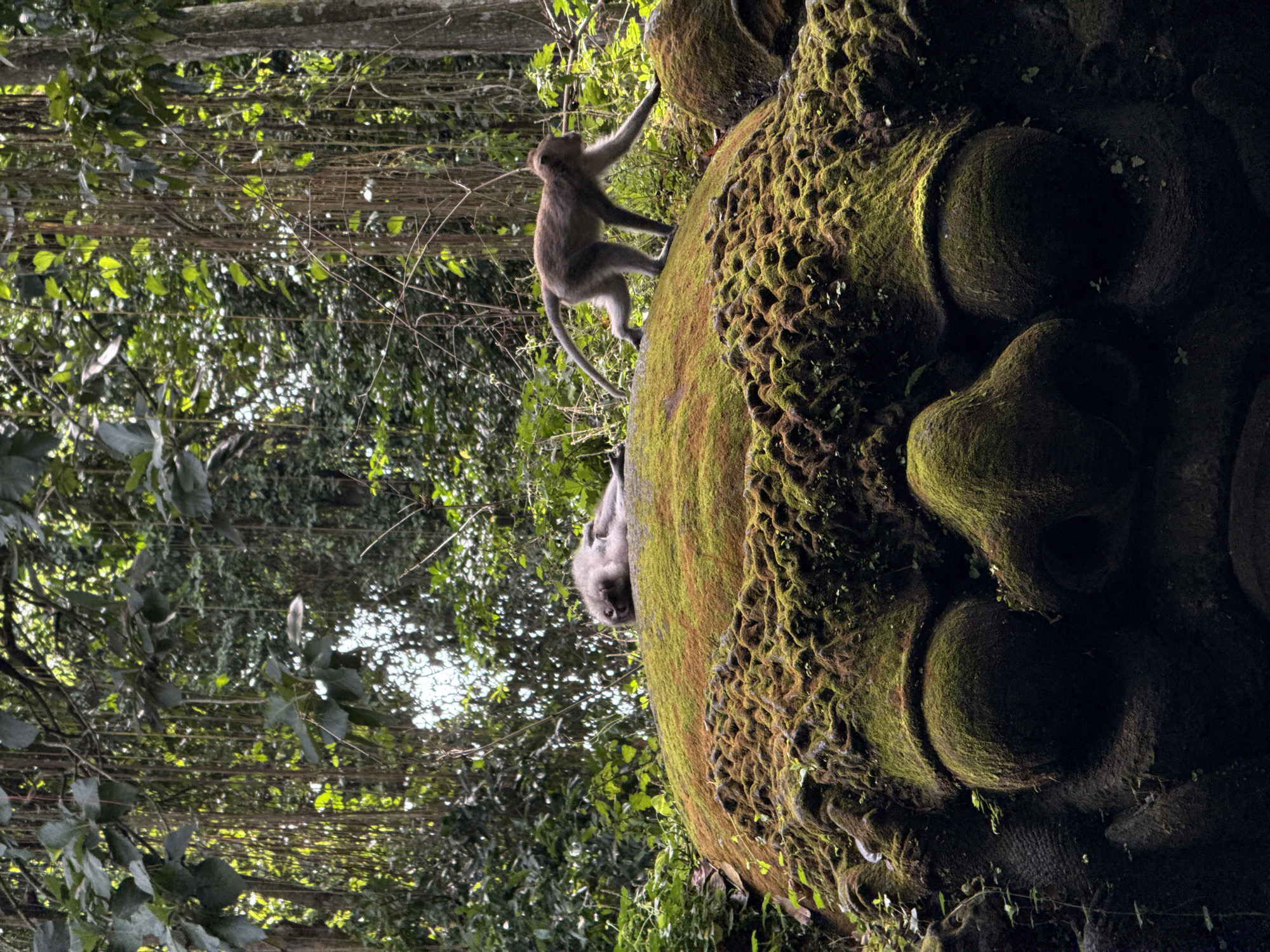 Ancient moss-covered stone sculptures documented in Ubud tropical forest