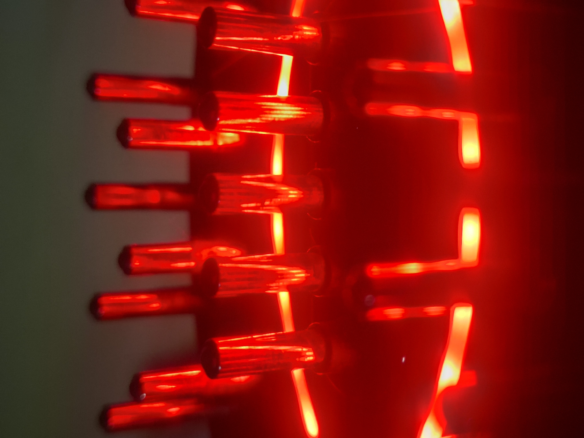 Close-up cat photos and red grid lights documented in Novi Sad