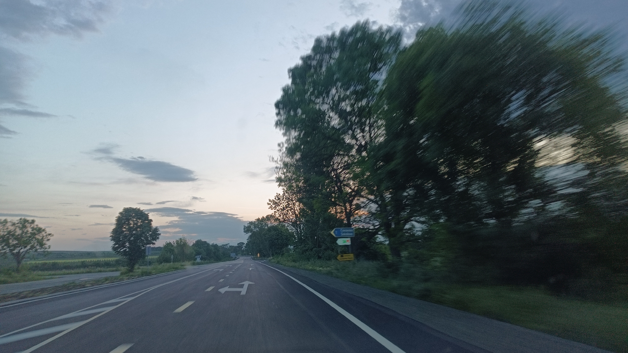 Vehicle travels tree-lined road in Sokolovo, Bulgaria under cloudy skies