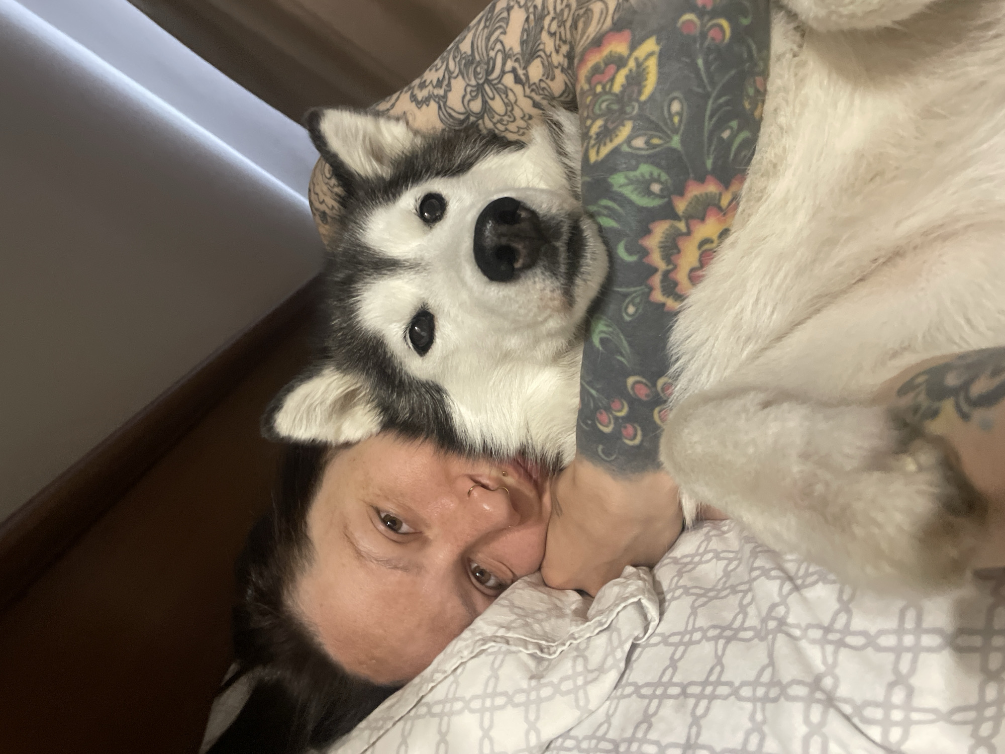 Woman cuddles husky dog on bed in Izhevsk