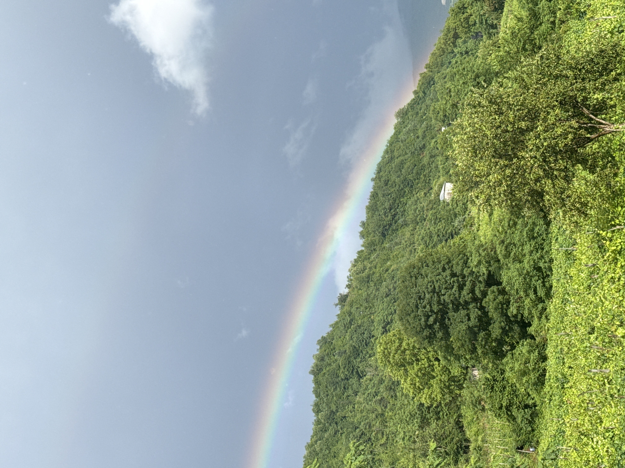 Rainbow over lush green hills in Khvanchkara, Georgia