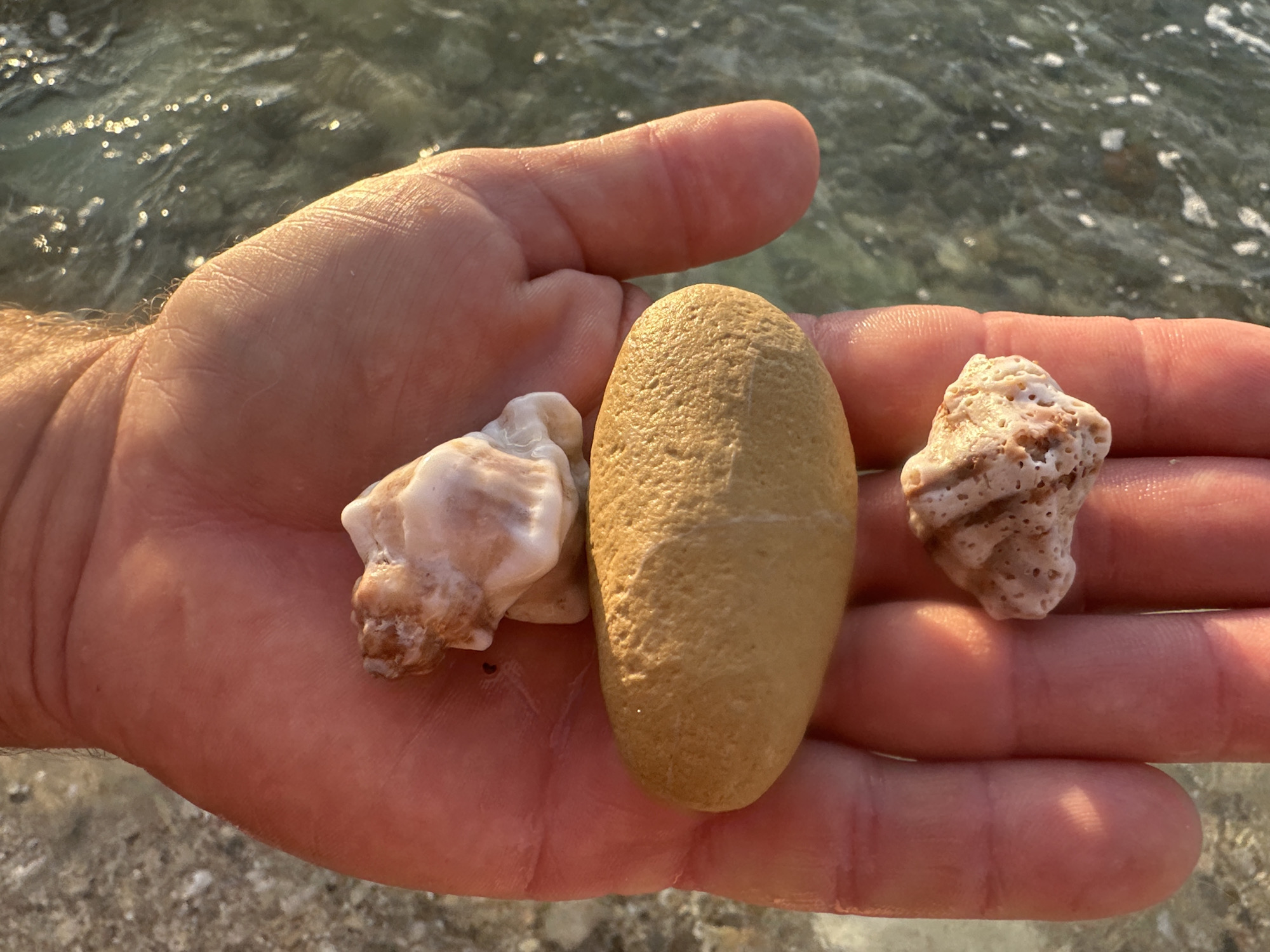 Sunset on Haifa's rocky shoreline, fishing rods and found objects