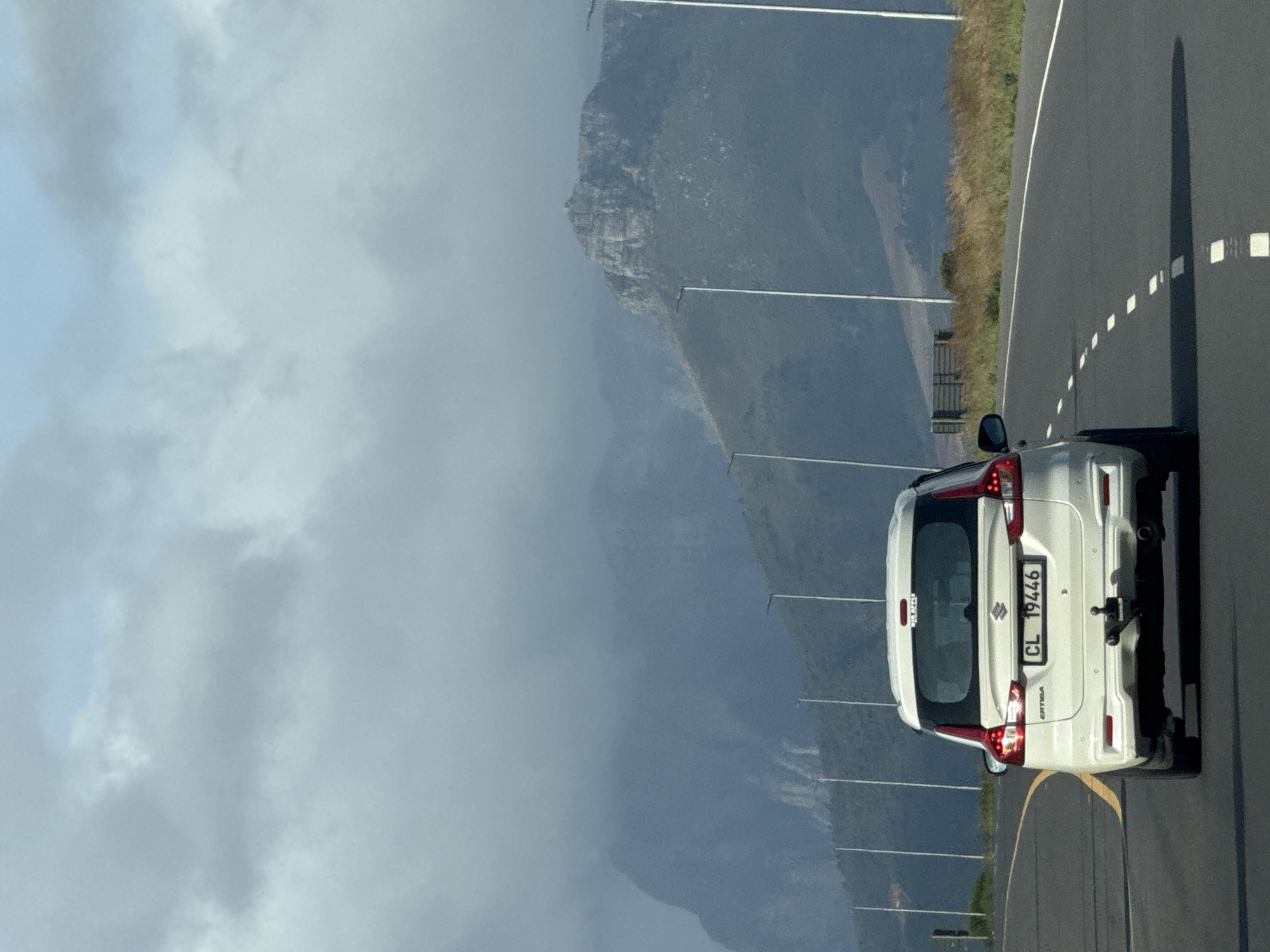 Vehicle traffic and cattle observed near Stellenbosch countryside