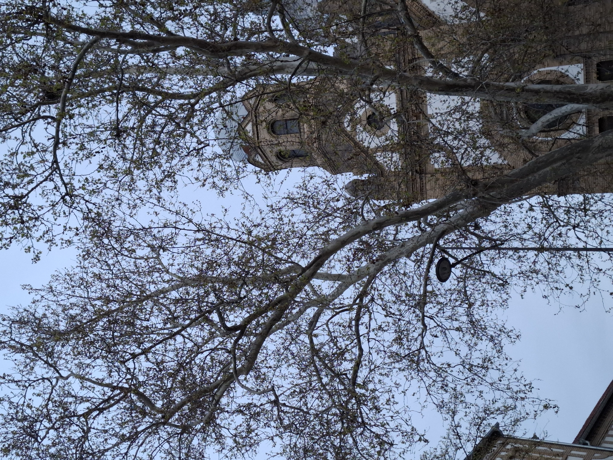 Evening documentation of historic Novi Sad religious, cultural landmarks